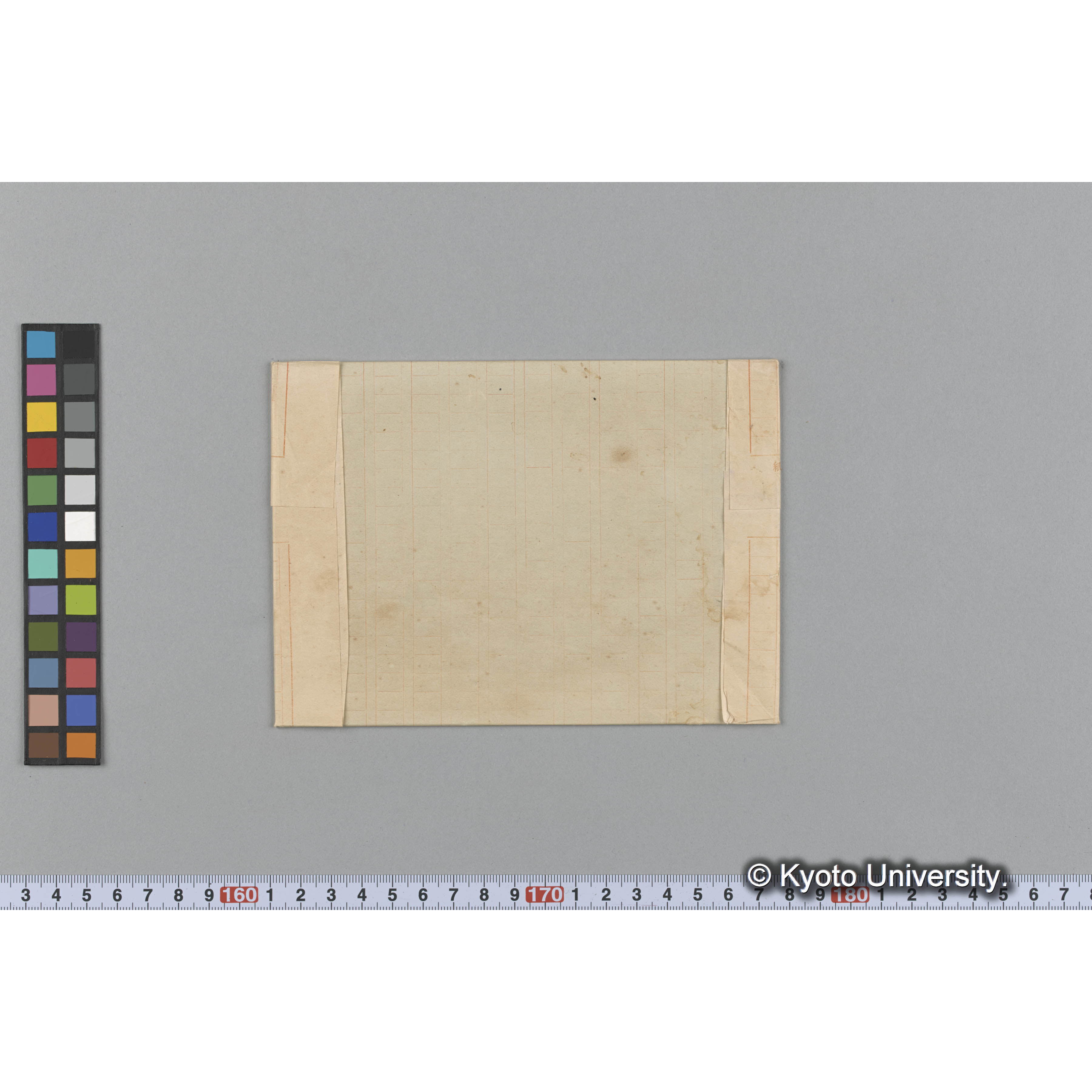 Callophyllis gracilarioides Farlow / Herb. J. Ag. / Alg Exs Bor. Amer. 129 （写真帳番号 16） (2)