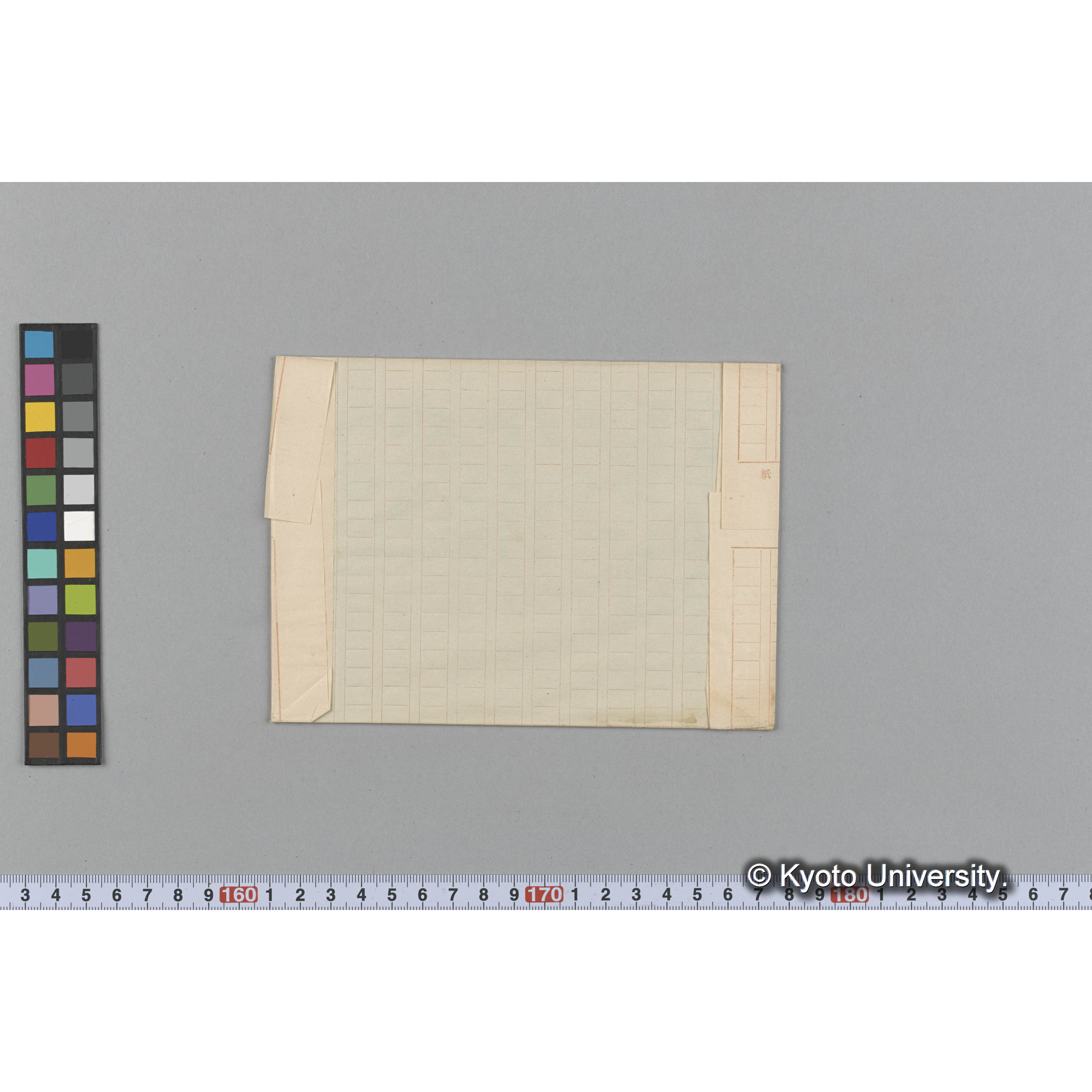 Ptilonia subulata / Herb. J. Ag. （写真帳番号 96） (2)