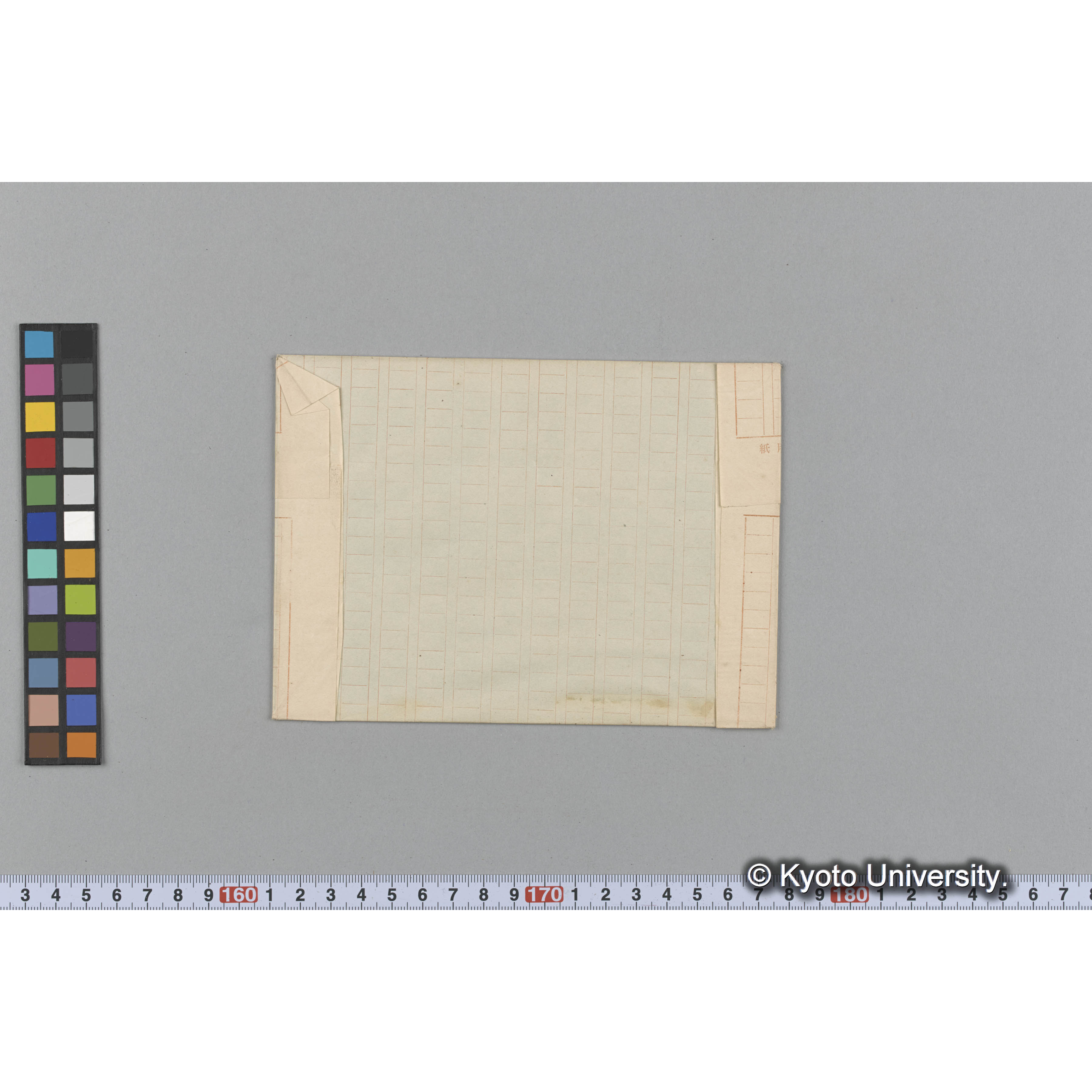 Prionitis andersoniana Eaton. / Herb. J. Ag. 22877 / Alg. Exsc. Am. Bor. l. （写真帳番号 98） (2)