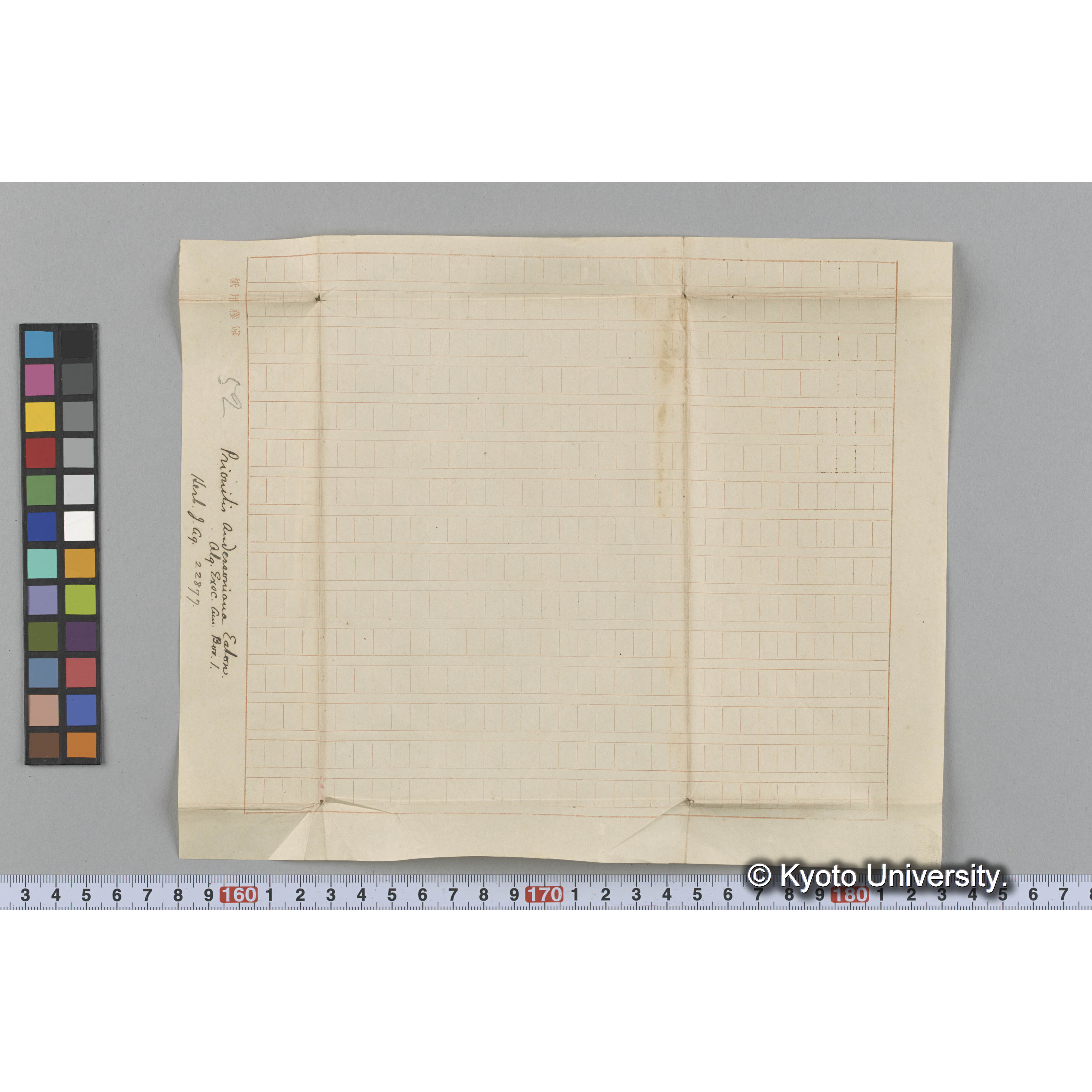 Prionitis andersoniana Eaton. / Herb. J. Ag. 22877 / Alg. Exsc. Am. Bor. l. （写真帳番号 98） (3)