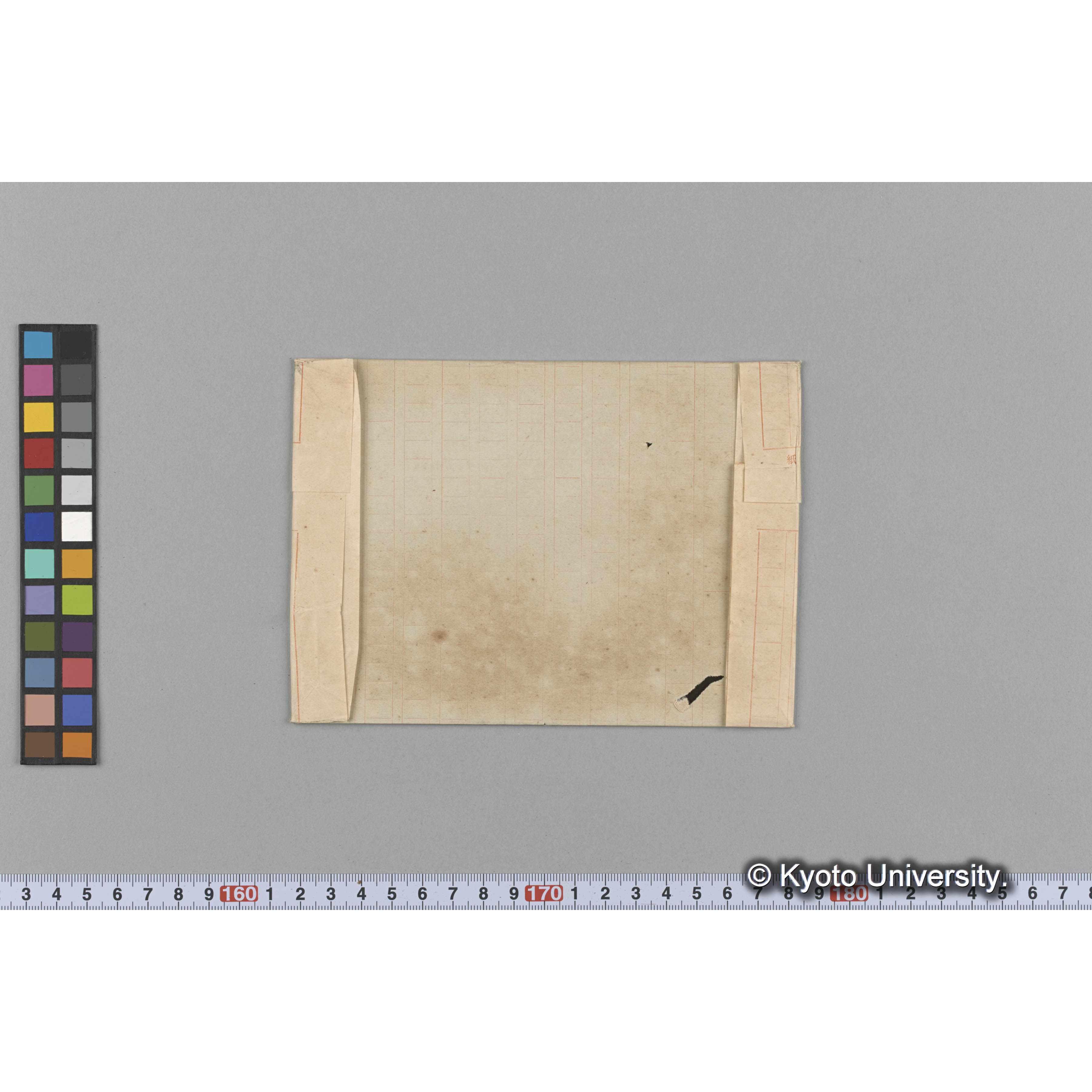 Wrangelia verticillata Herv. / Herb. J. Ag. / Austr. Alg 260 H. （写真帳番号 115） (2)