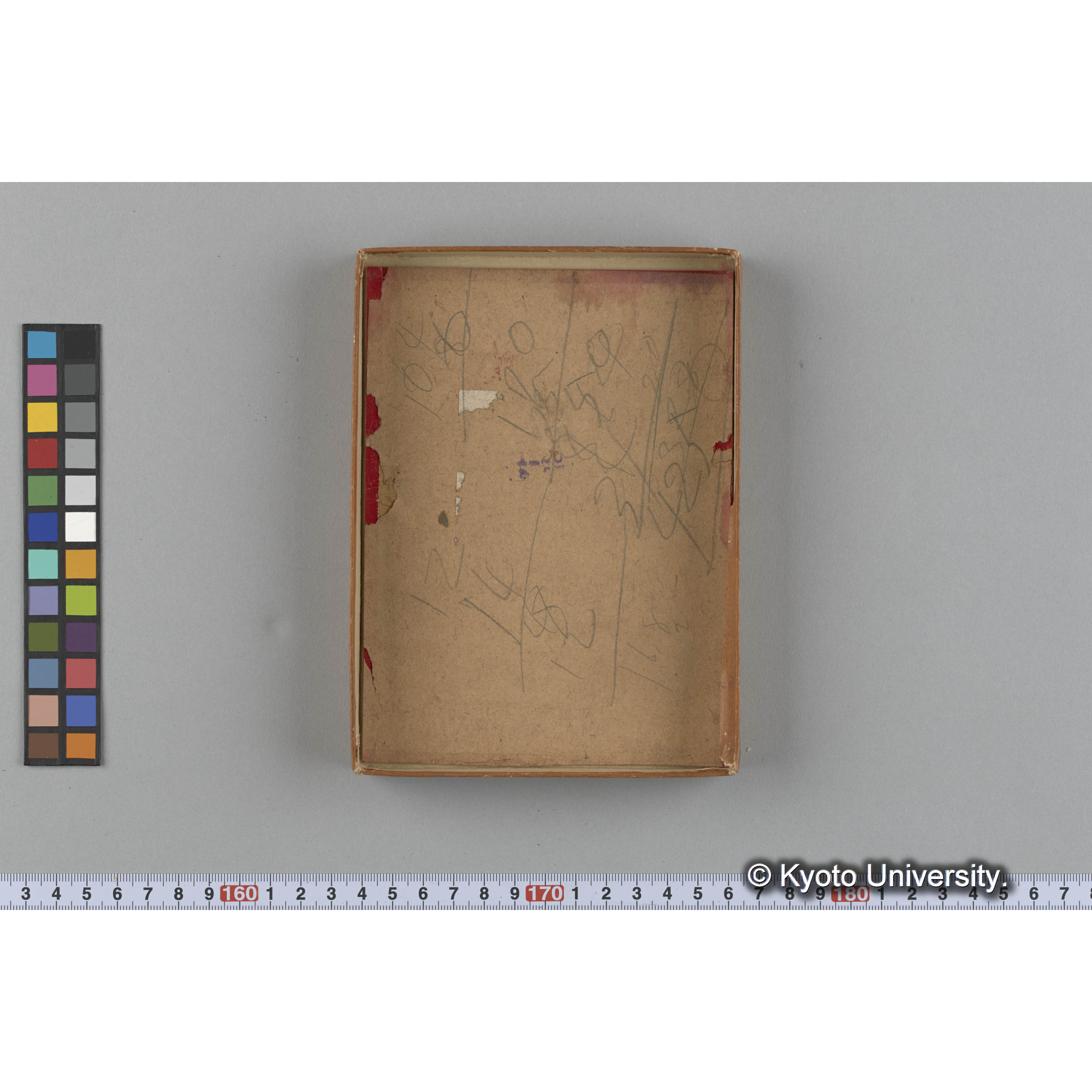 [ガラス乾板収納箱5.]algae, 原板12 (3)