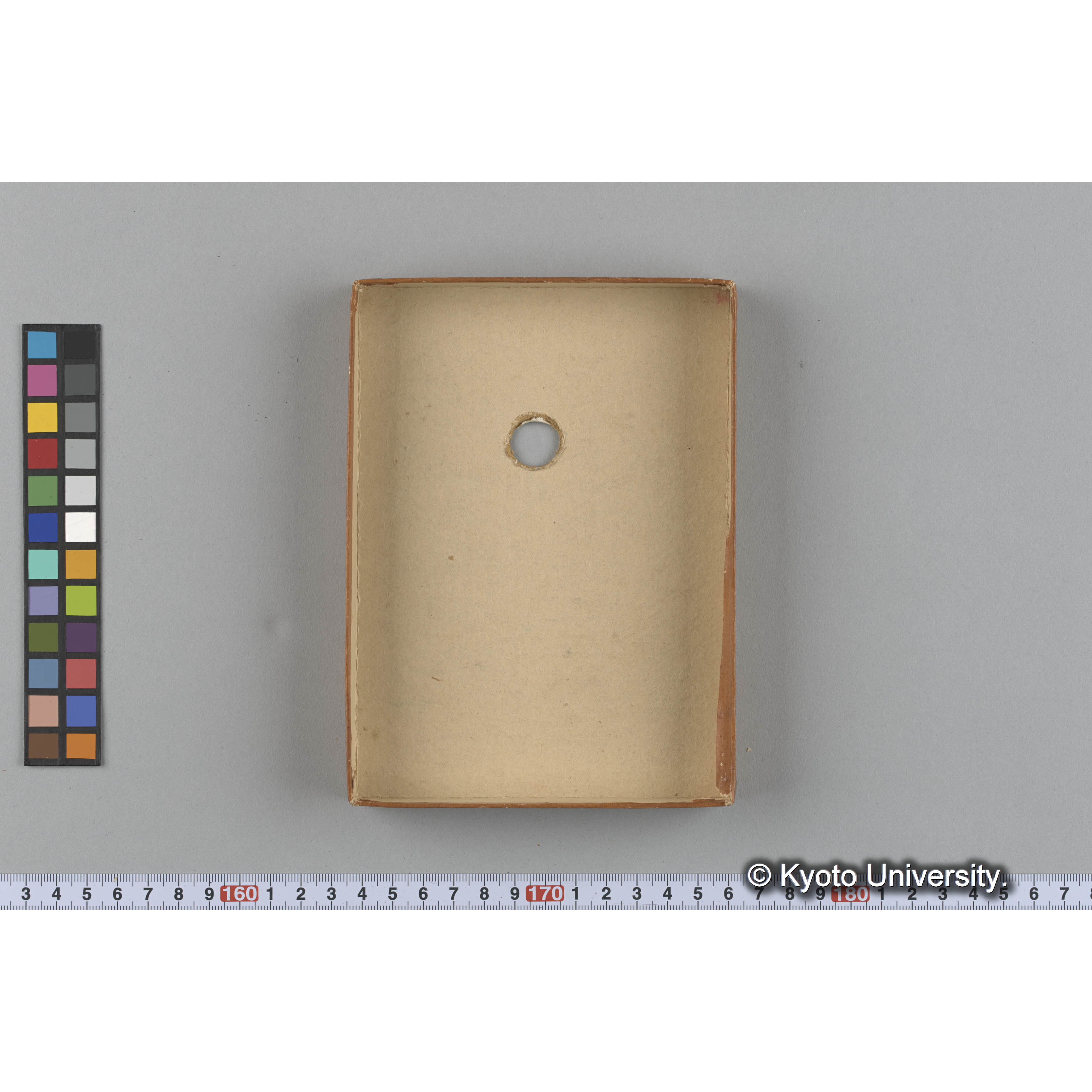 [ガラス乾板収納箱5.]algae, 原板12 (4)