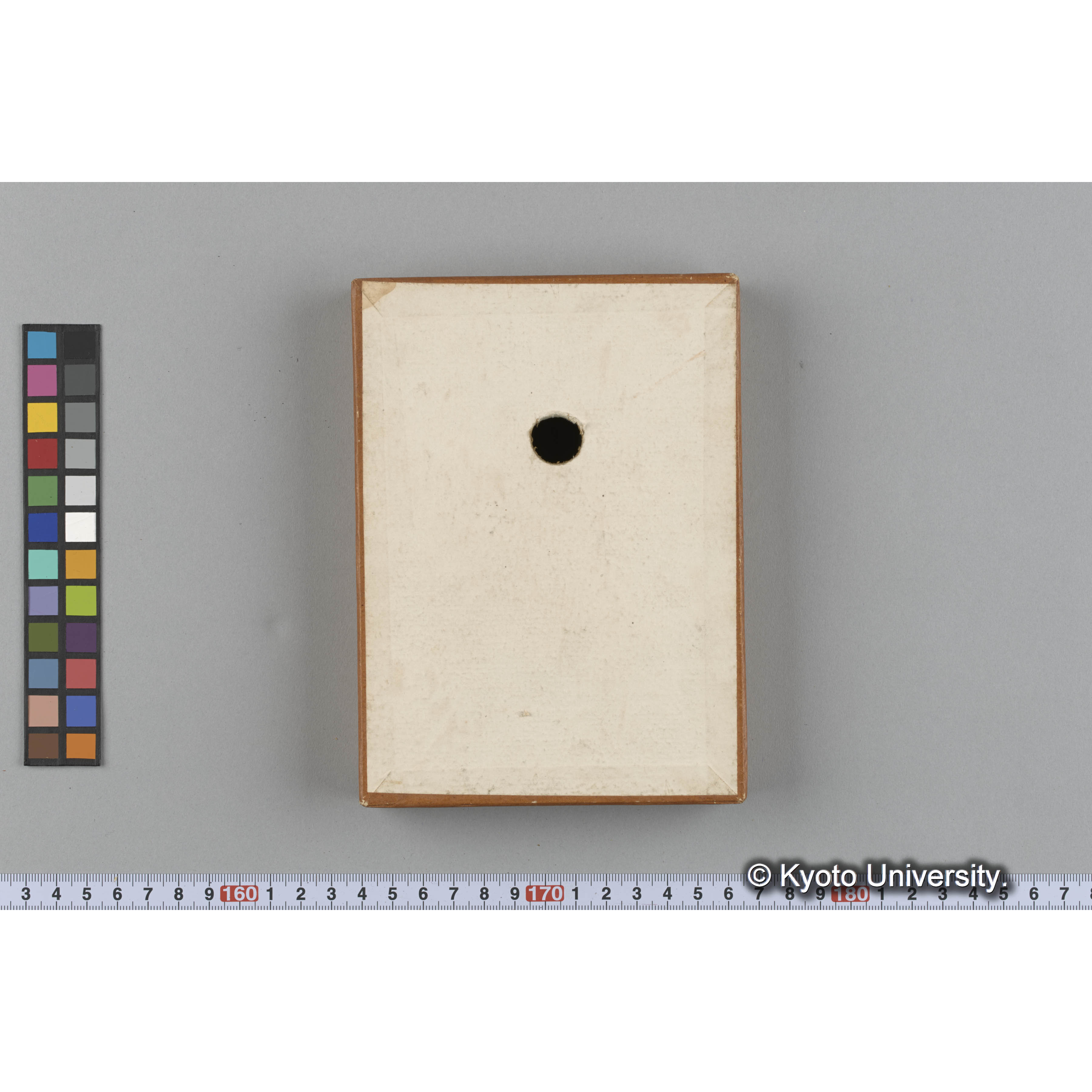 [ガラス乾板収納箱5.]algae, 原板12 (5)