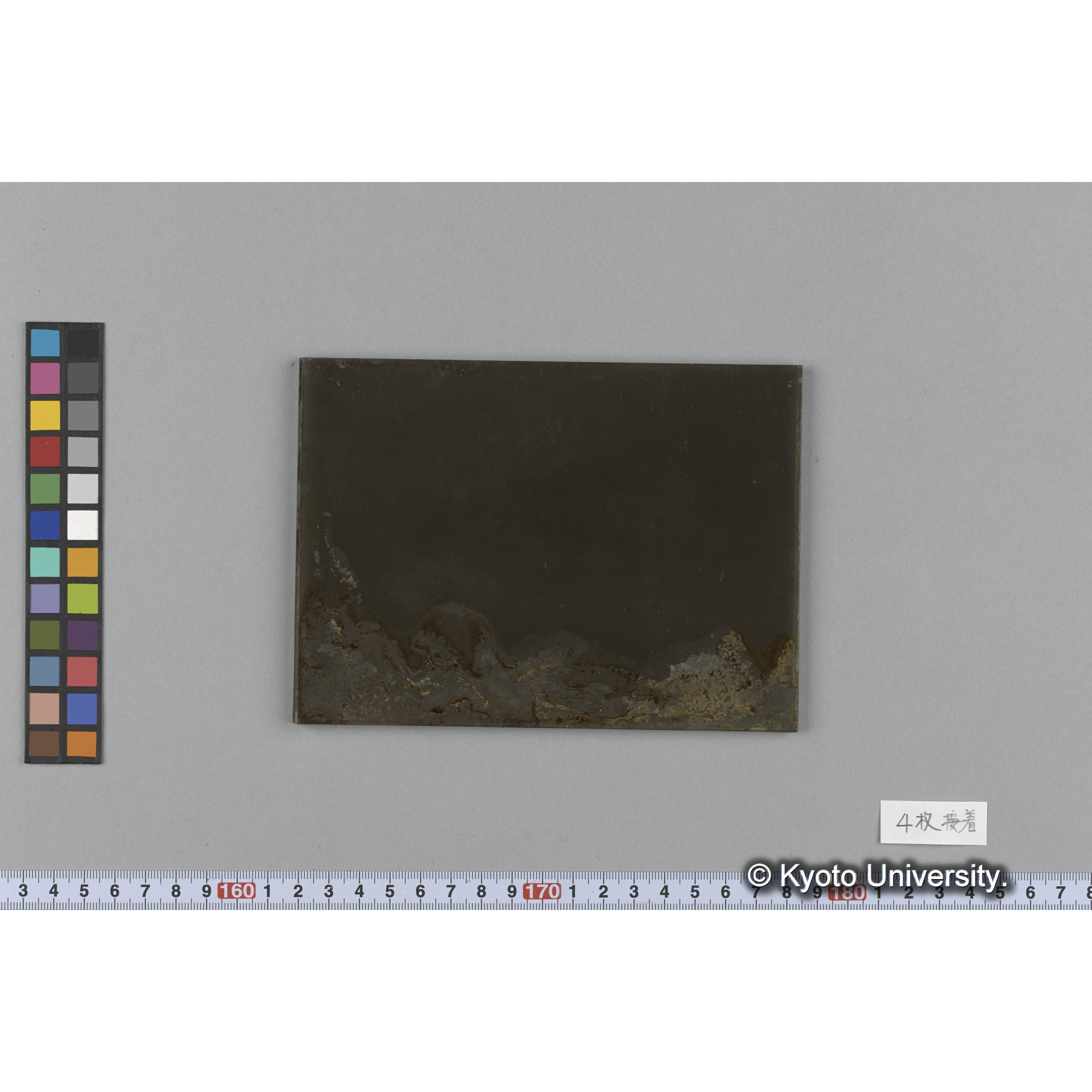 [ガラス乾板.](本乾板から「SY154」まで接着により内容不明.) (2)