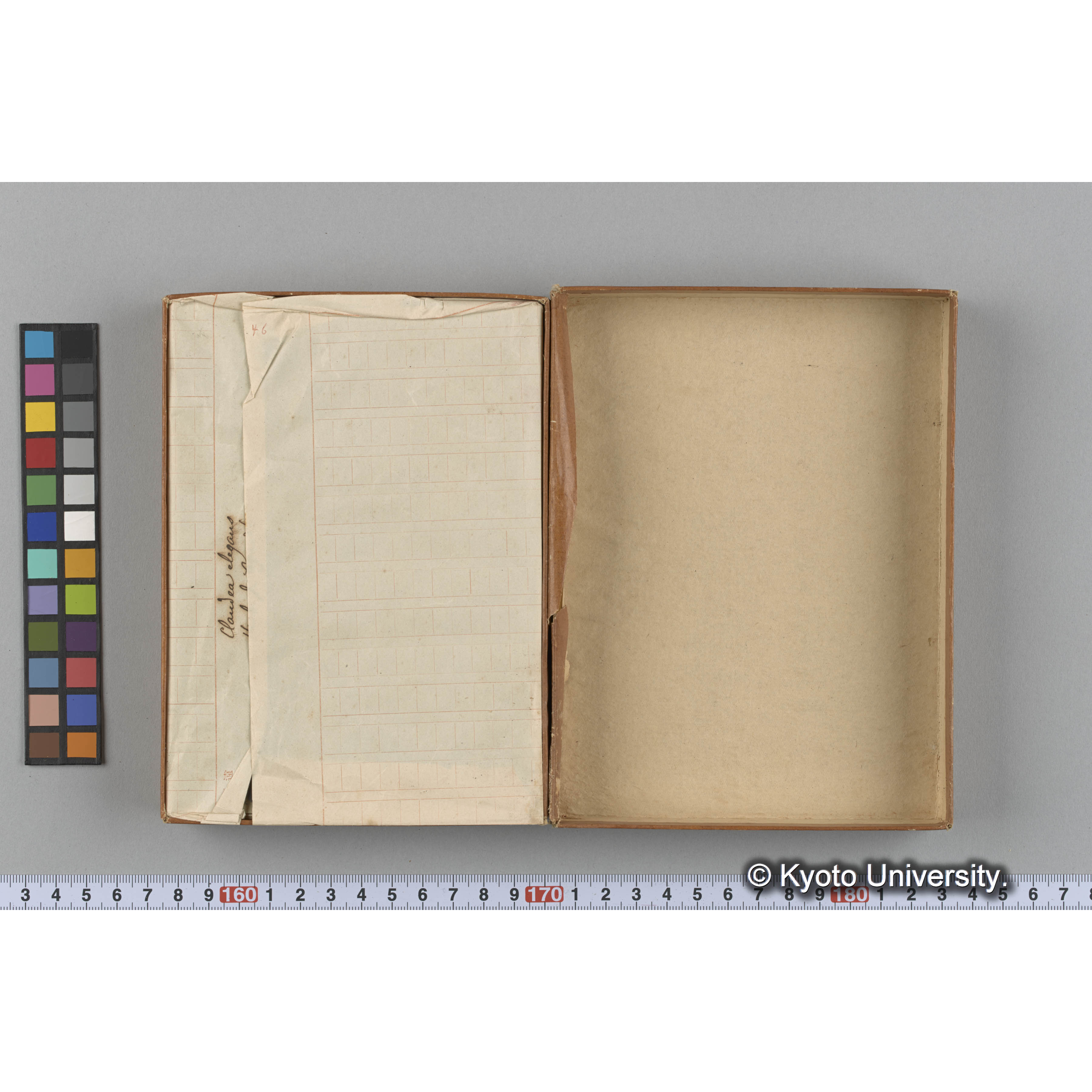 [ガラス乾板収納箱10.]algae, 原板12 (2)