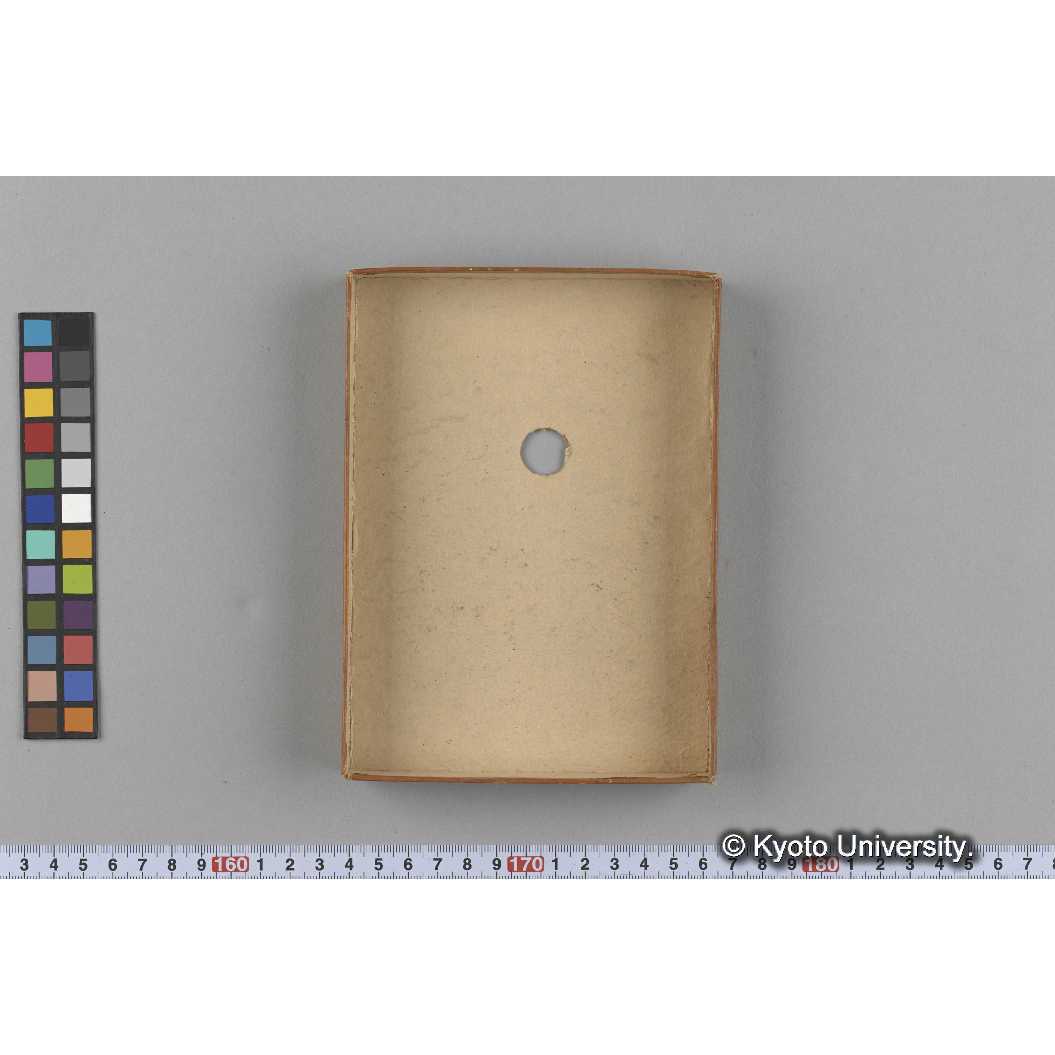 [ガラス乾板収納箱10.]algae, 原板12 (4)