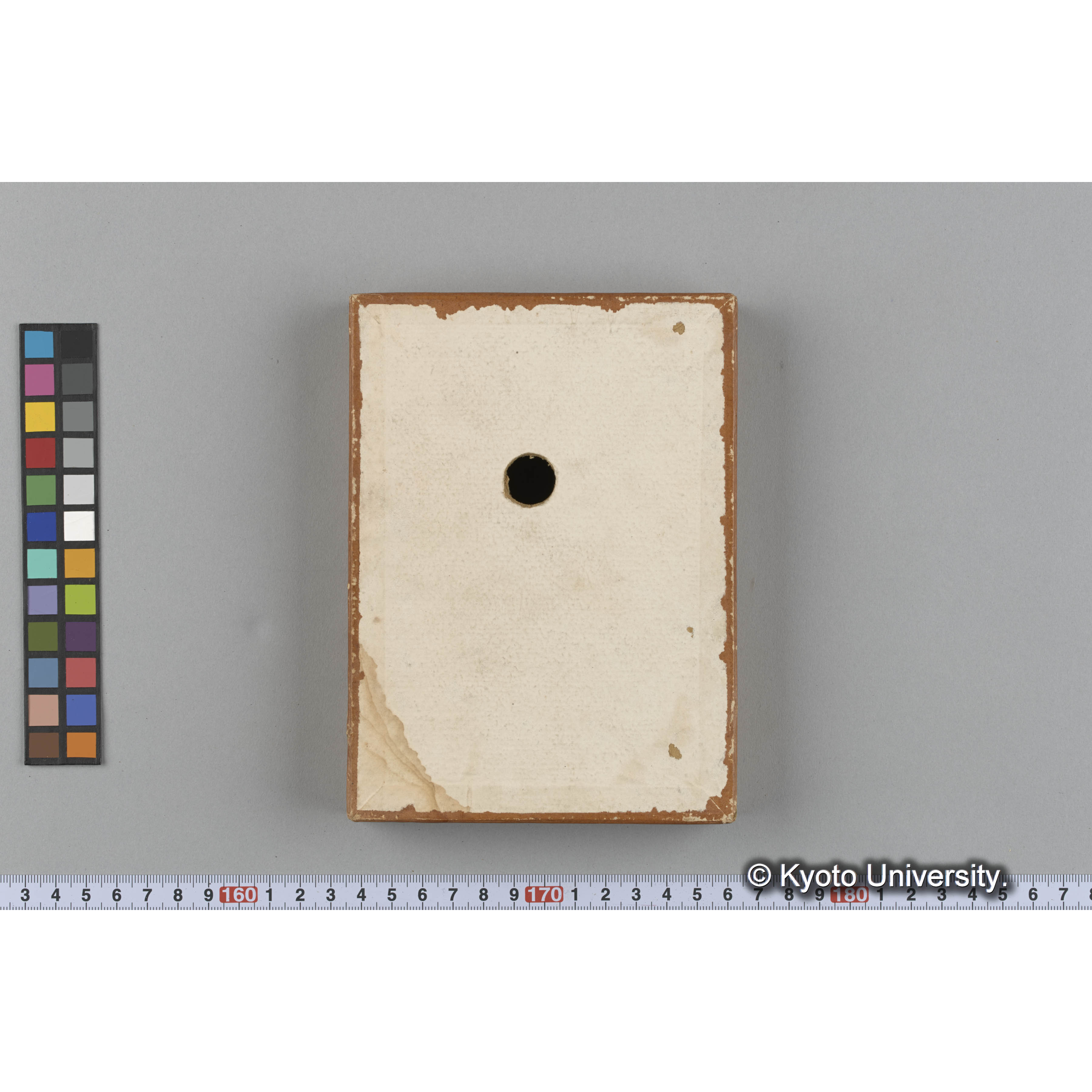 [ガラス乾板収納箱10.]algae, 原板12 (5)