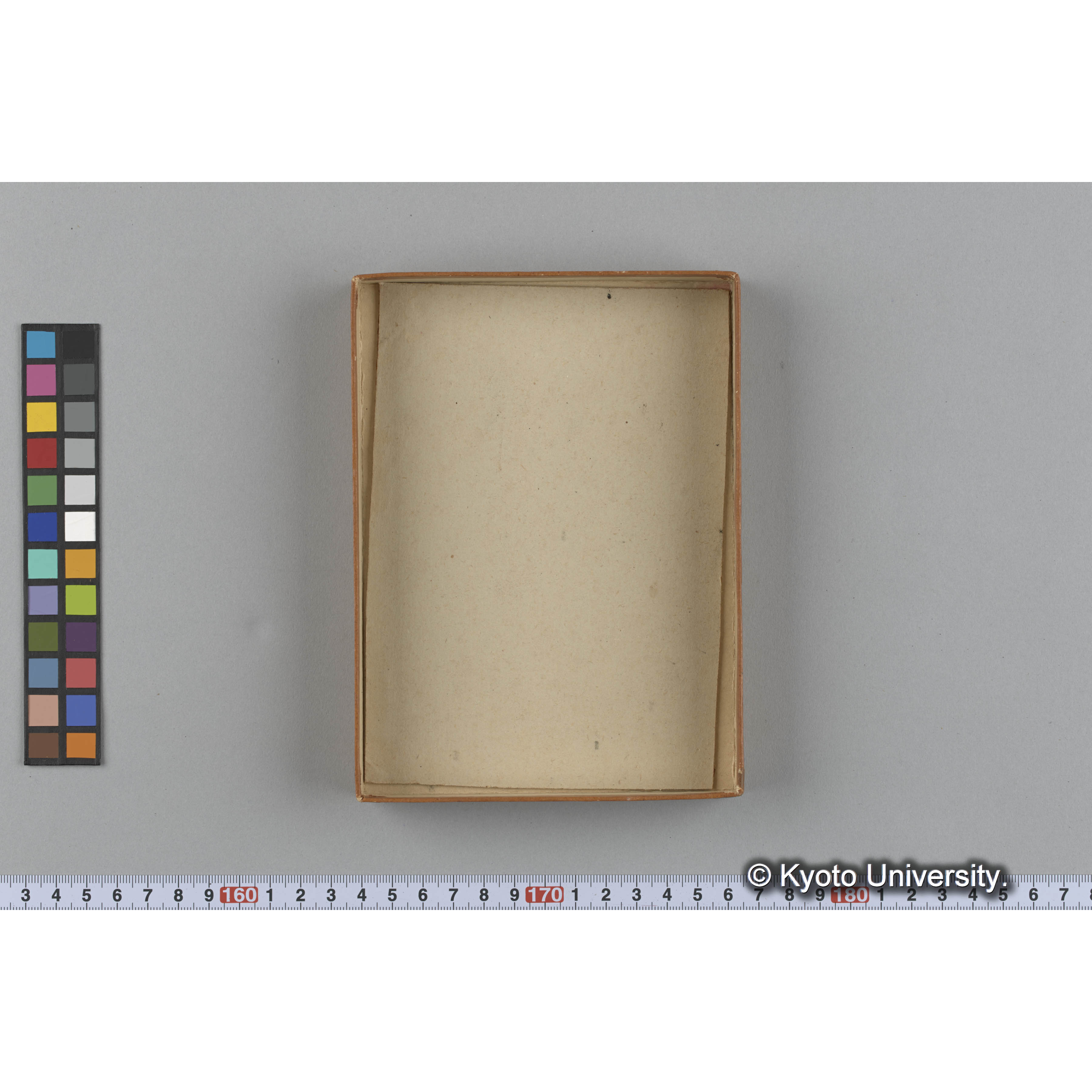 [ガラス乾板収納箱8.]algae, 原板12 (3)