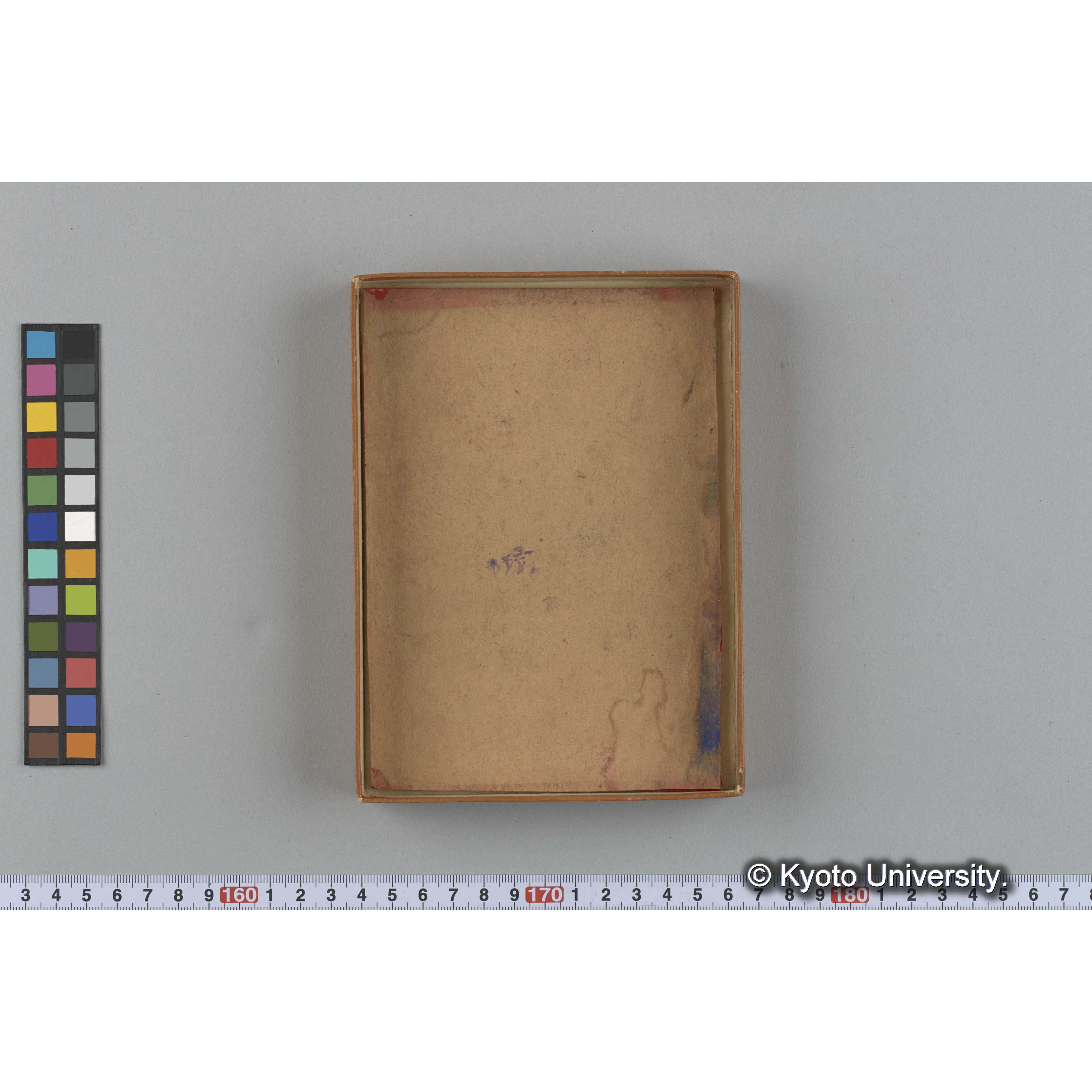 [ガラス乾板収納箱8.]algae, 原板12 (4)