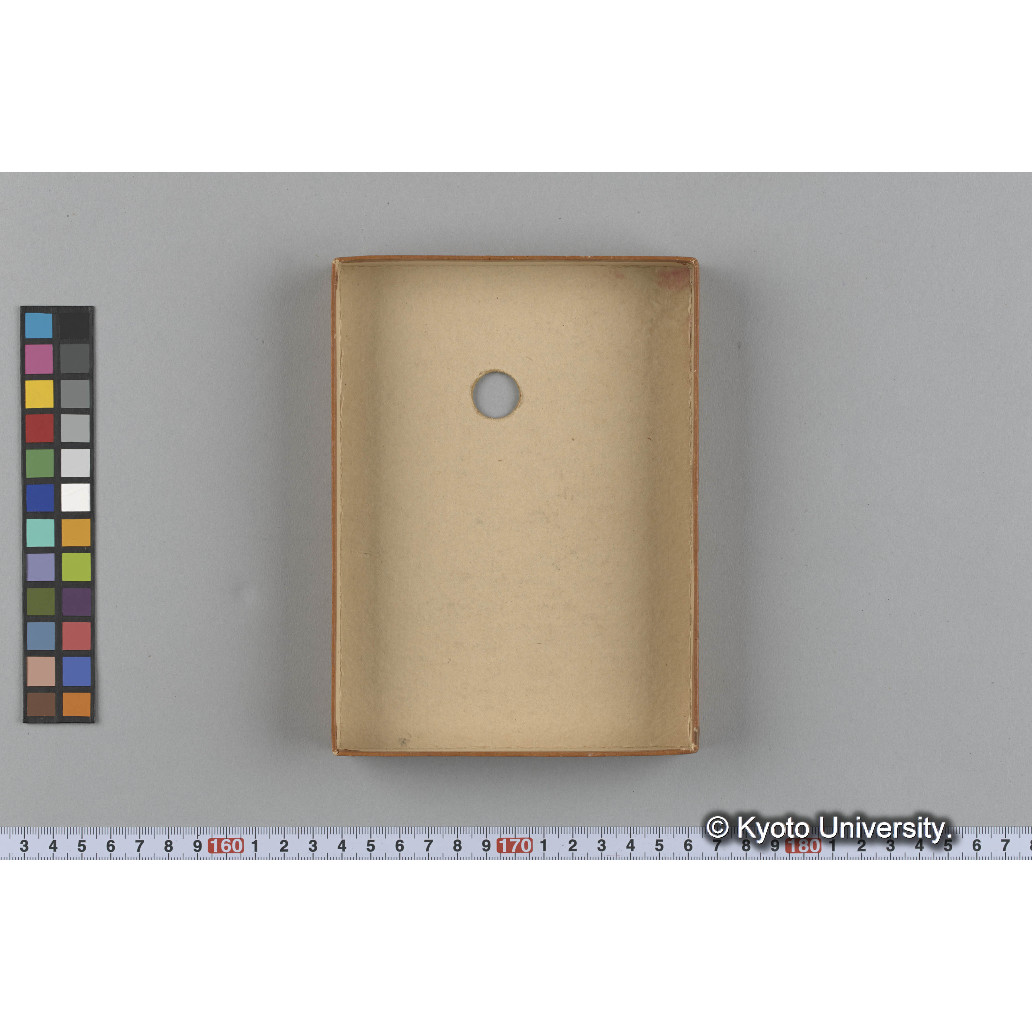 [ガラス乾板収納箱8.]algae, 原板12 (5)