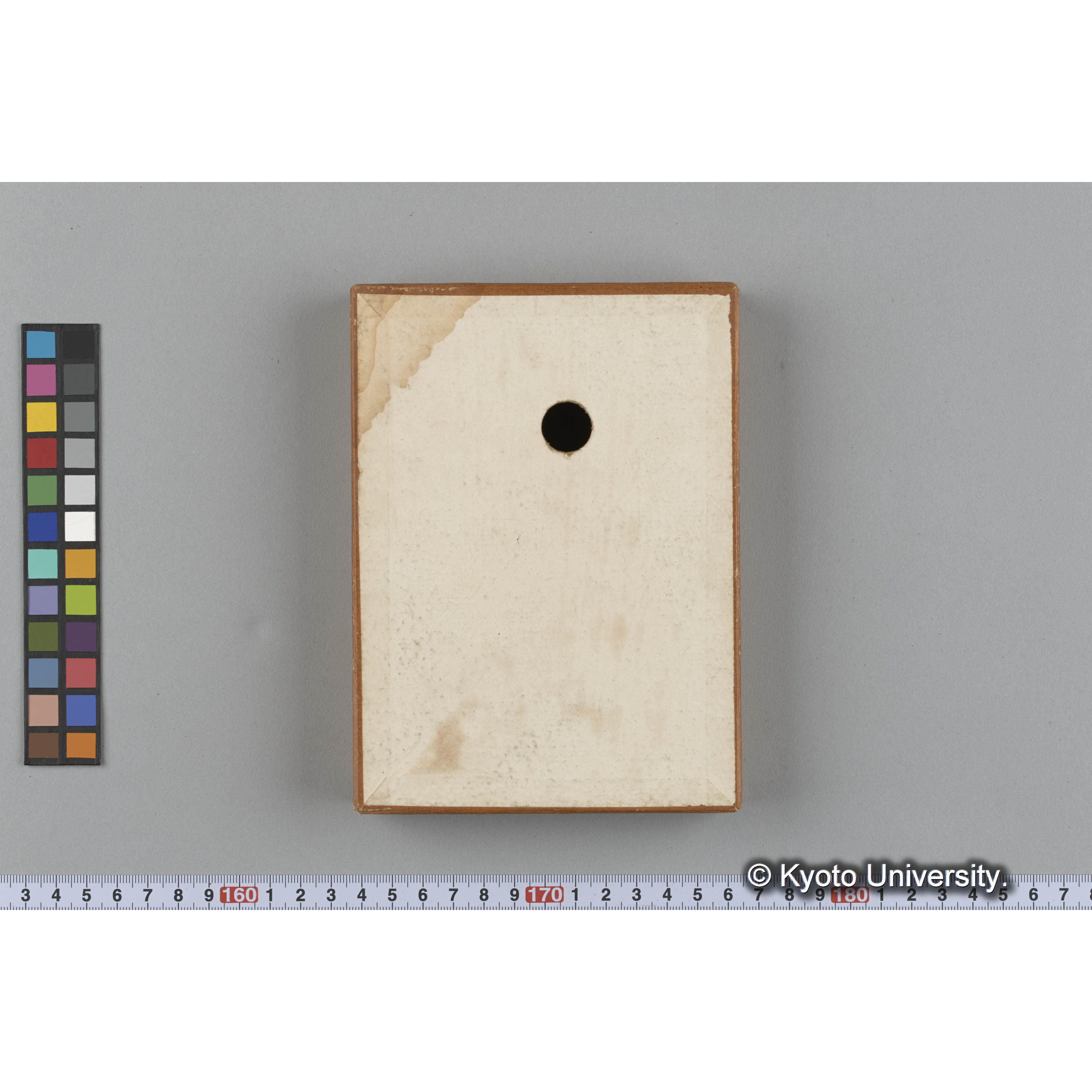 [ガラス乾板収納箱8.]algae, 原板12 (6)