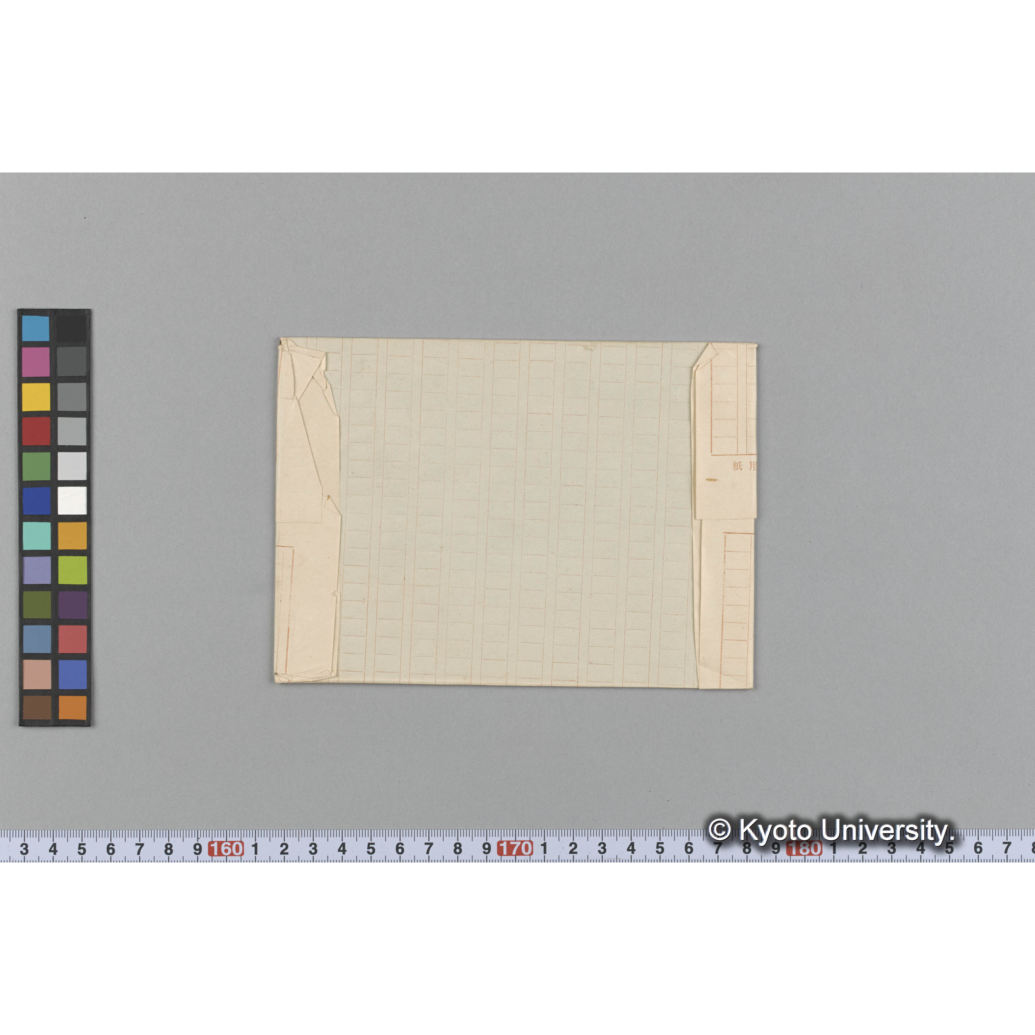 Halymenia ligulata Woodw. / Herb. J. Ag. 22398-22420 （写真帳番号 62） (2)