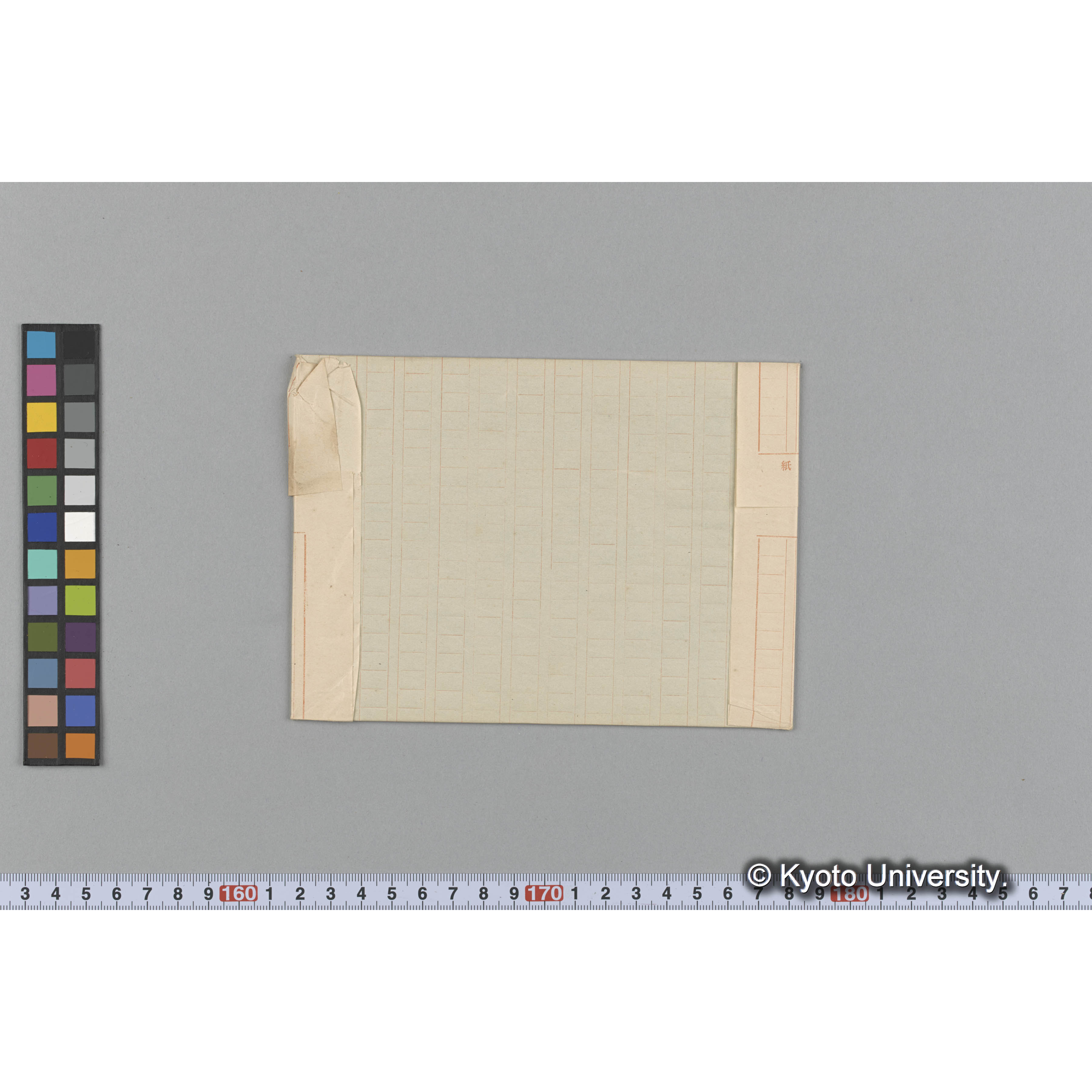 Spyridia filamentosa / Herb. J. Ag. / Harv. Austo. Alg. 463-g （写真帳番号 109） (2)