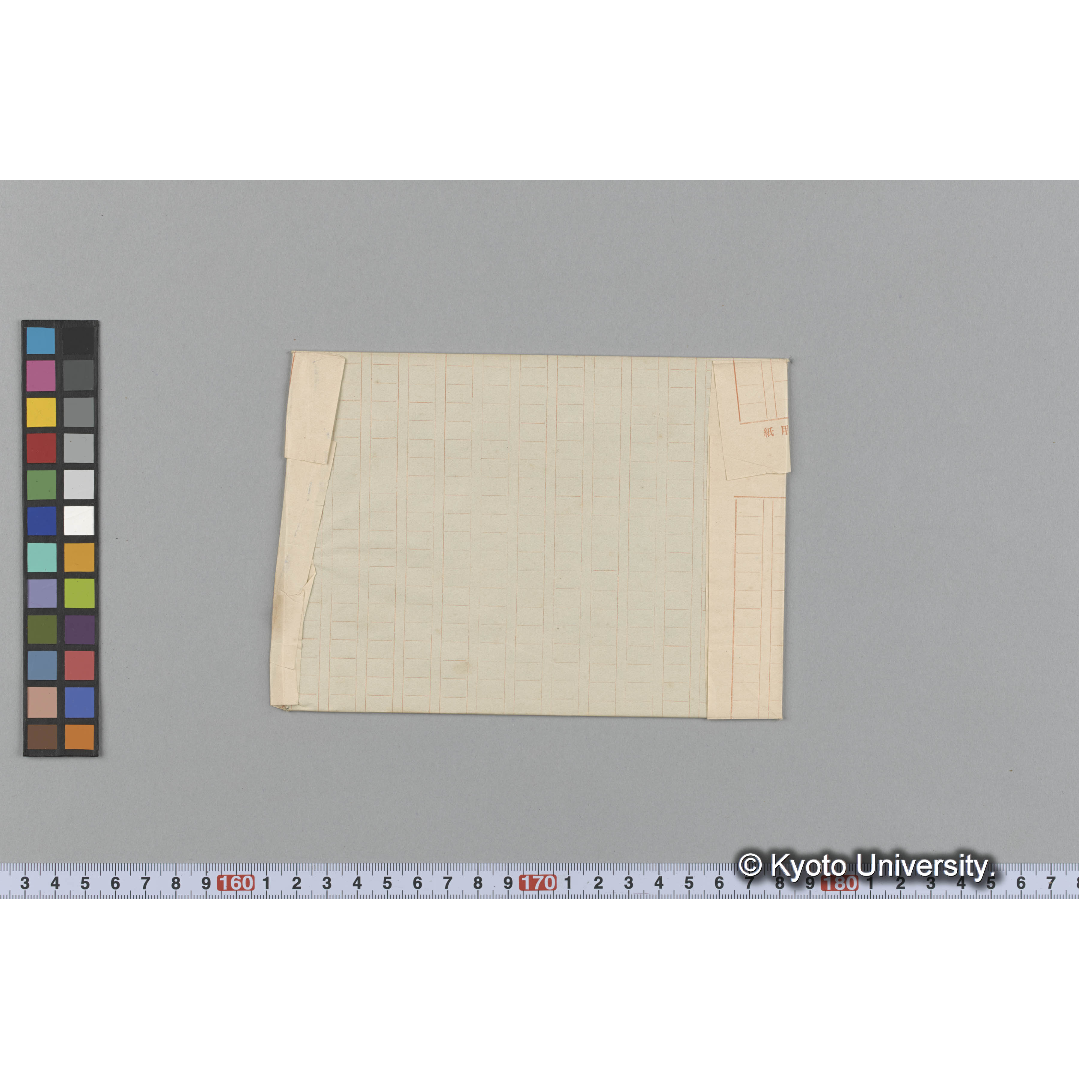 Spyridia filamentosa / Herb. J. Ag. / Friendly Island （写真帳番号 110） (2)