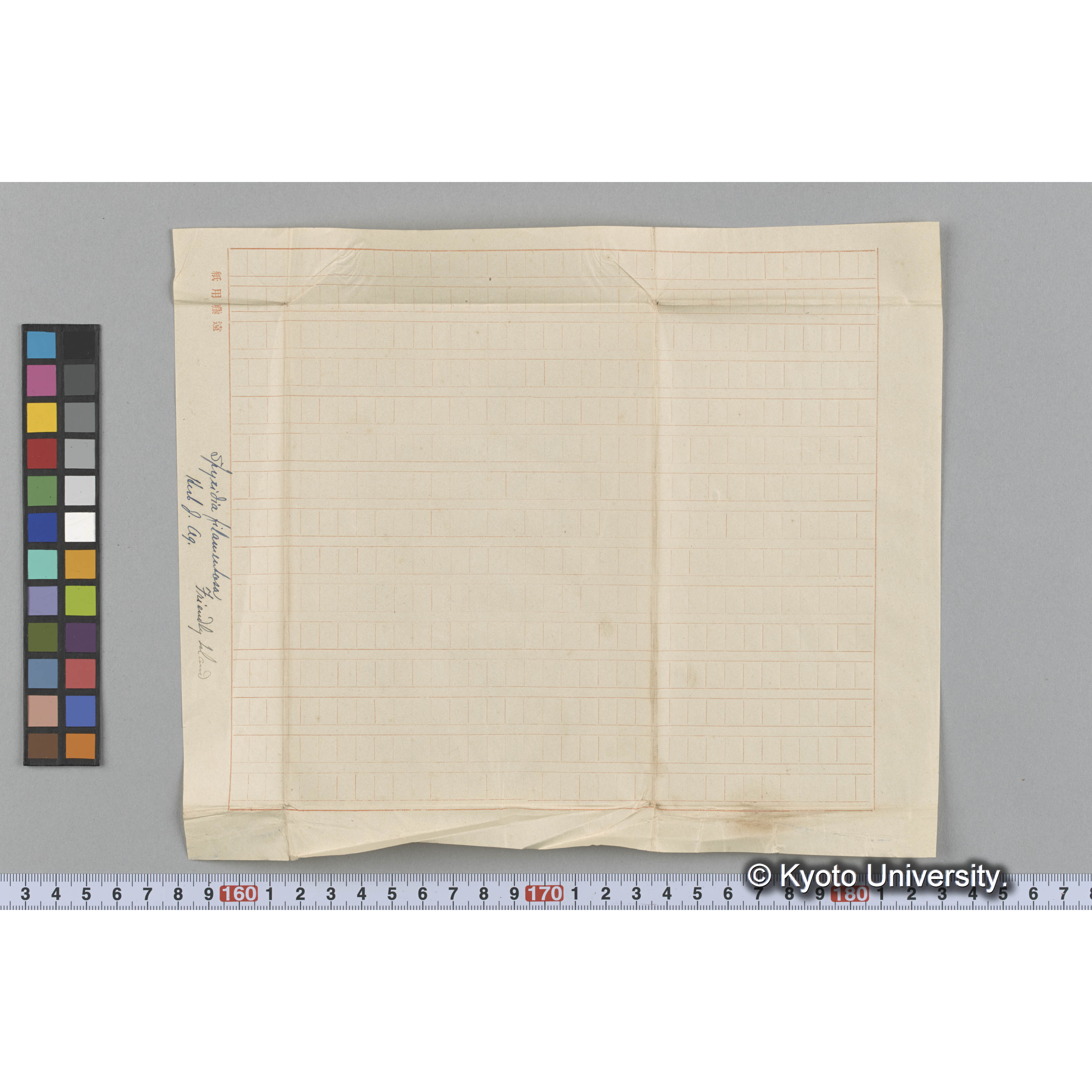 Spyridia filamentosa / Herb. J. Ag. / Friendly Island （写真帳番号 110） (3)