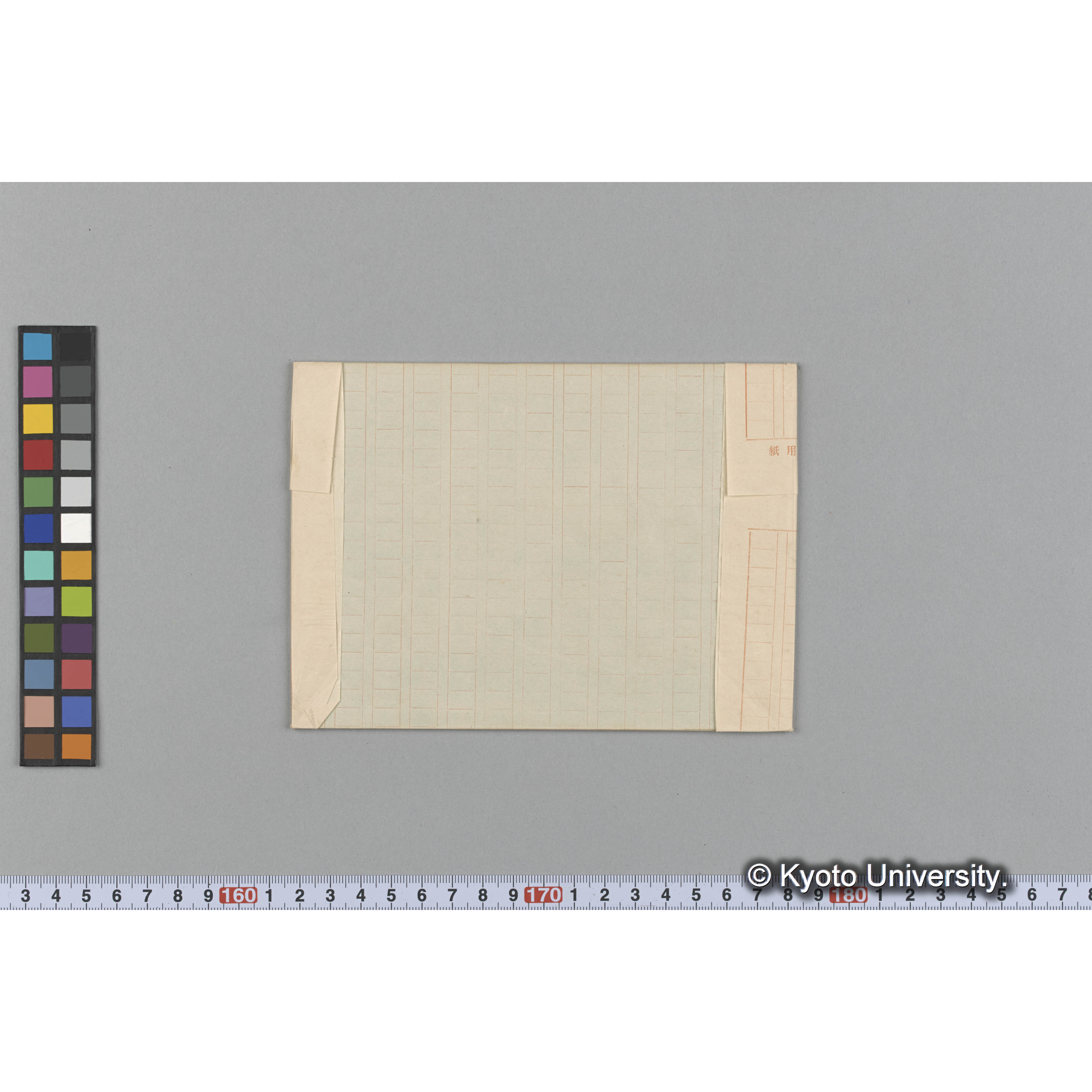 Halymenia ceylanica Harv. / Trinity College / Original. （写真帳番号 60） (2)