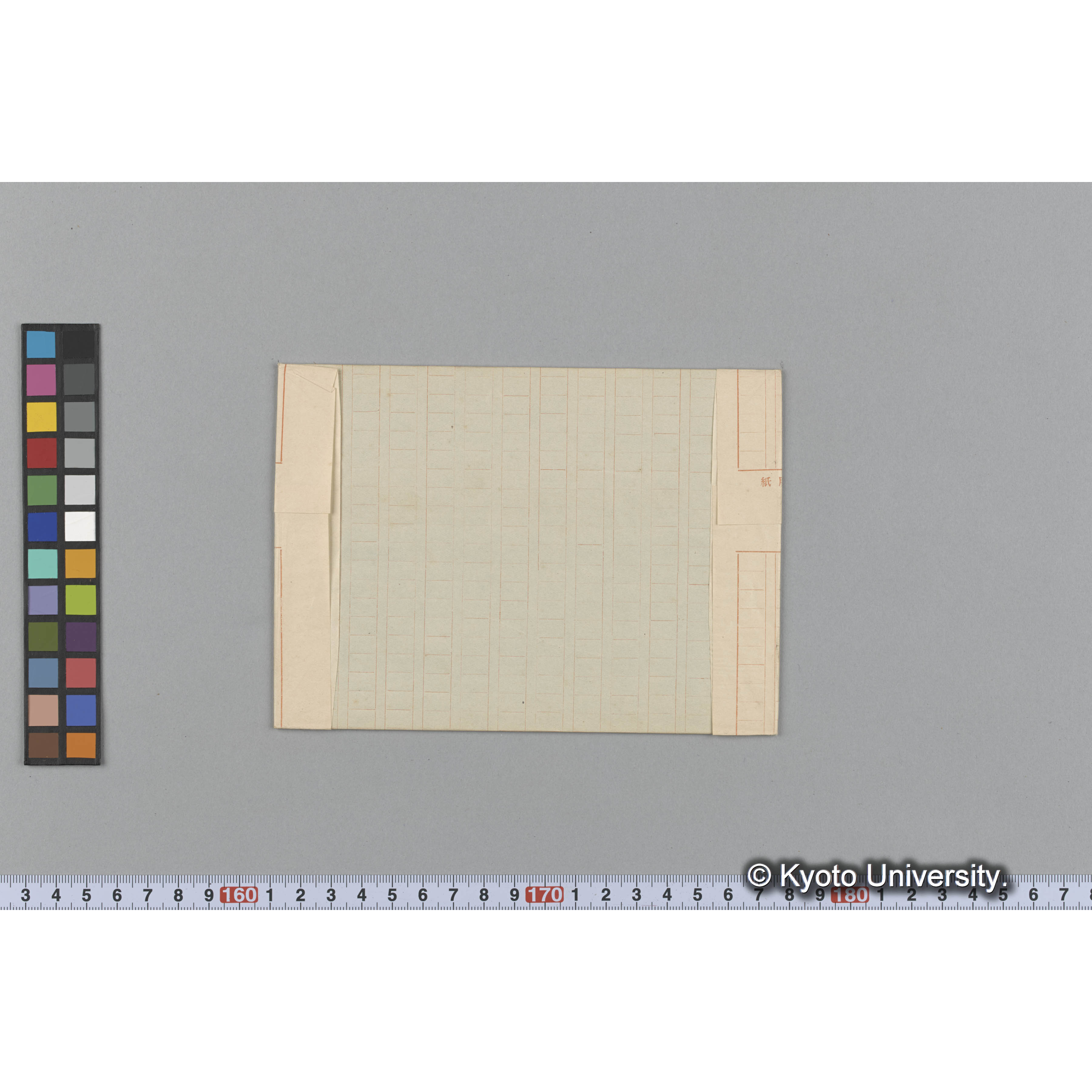 Laurencia (Chondria) filiformis J. Ag. / Herb. J. Ag. / 外遊二年　p.1474 （写真帳番号 83） (2)