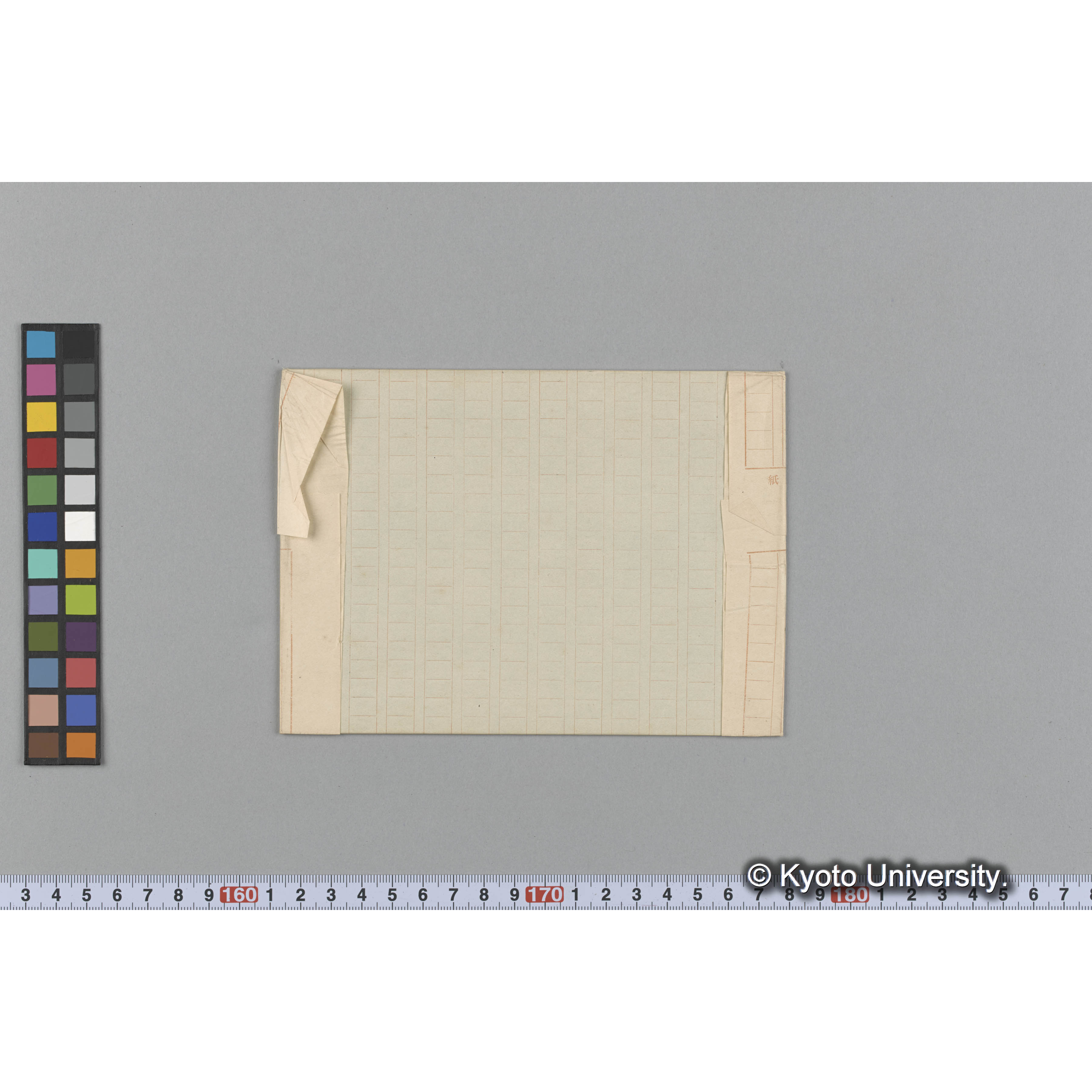 Laurencia regia / Herb. J. Ag. 36966. / Harv. Austr. Alg. 237B. （写真帳番号 85） (2)