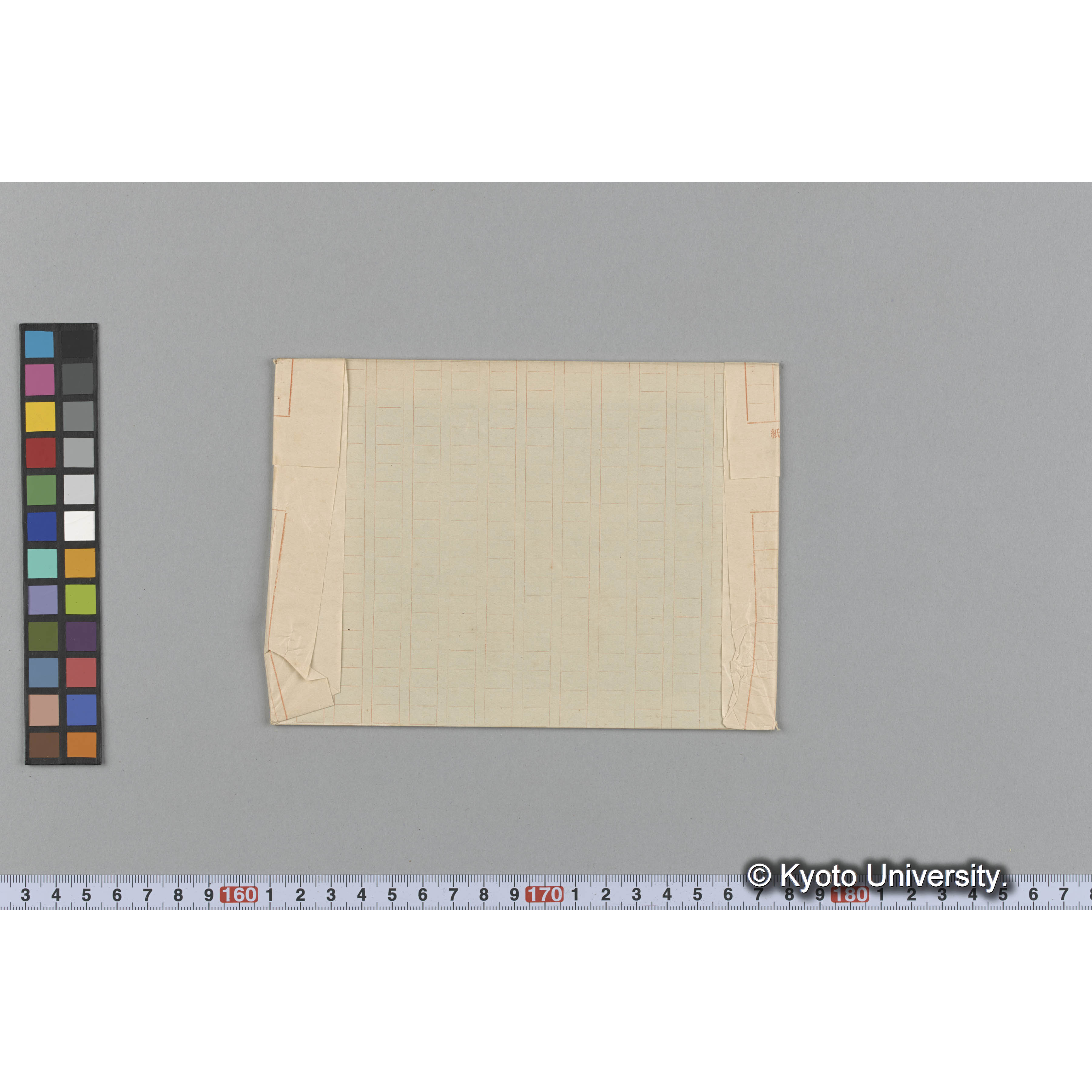 Amphiroa charoides / Trinity Coll. / Austr. Alg. 462 / 外 1666 （写真帳番号 6） (2)