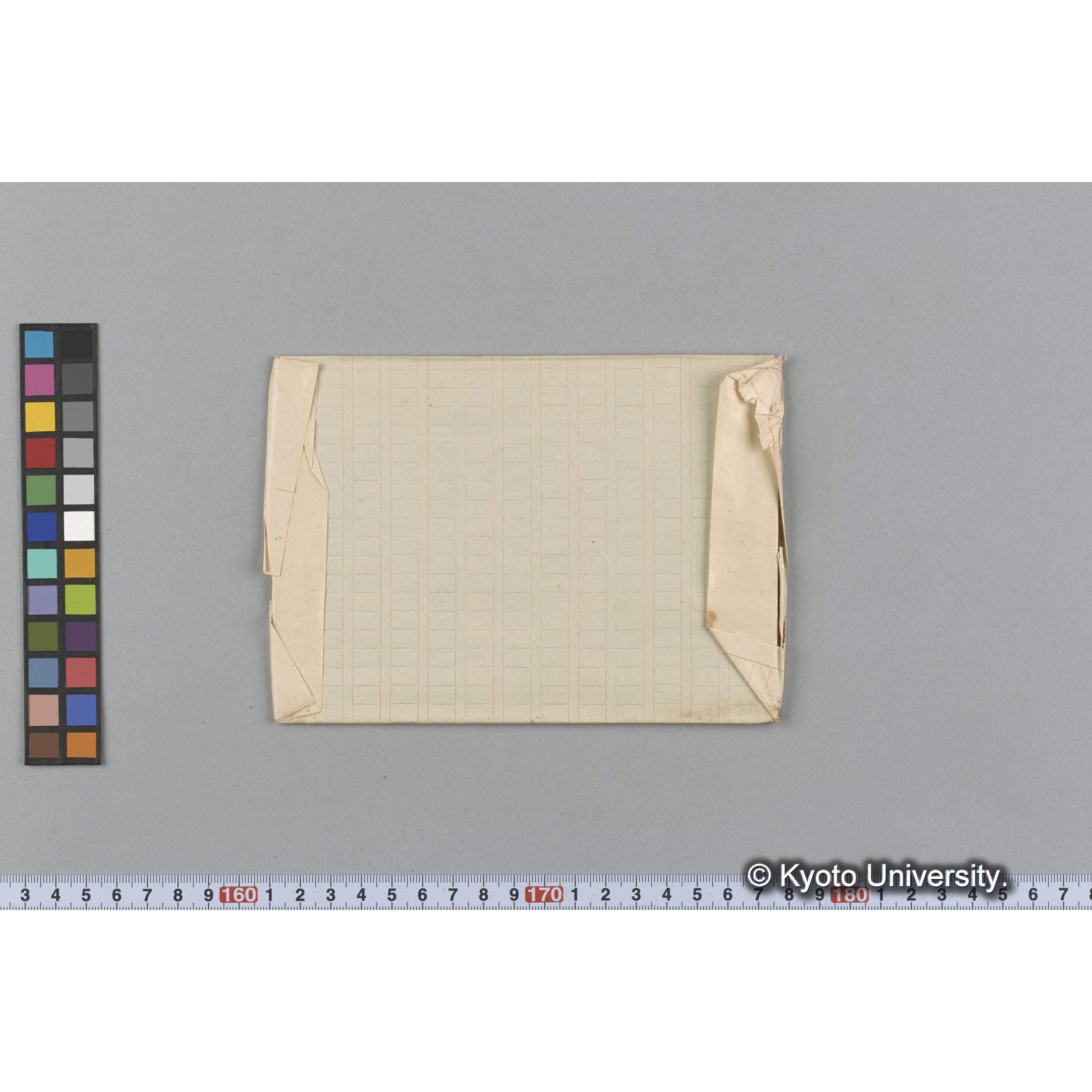 Odonthalia aleutica P. et R. / Herb. J. Ag. 38513 （写真帳番号 94） (2)