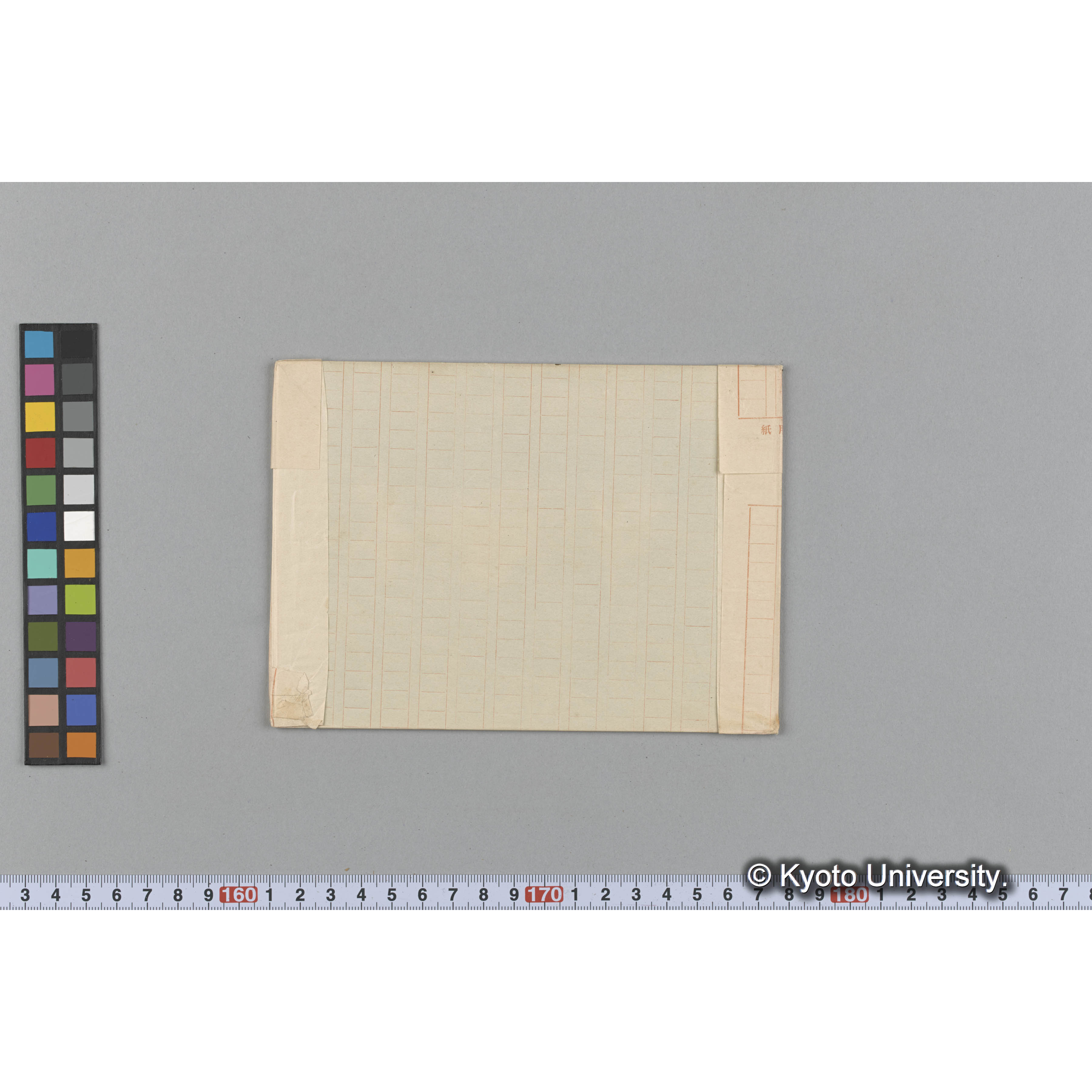 Chondrus affinis / Trinity Coll. / California （写真帳番号 26） (2)