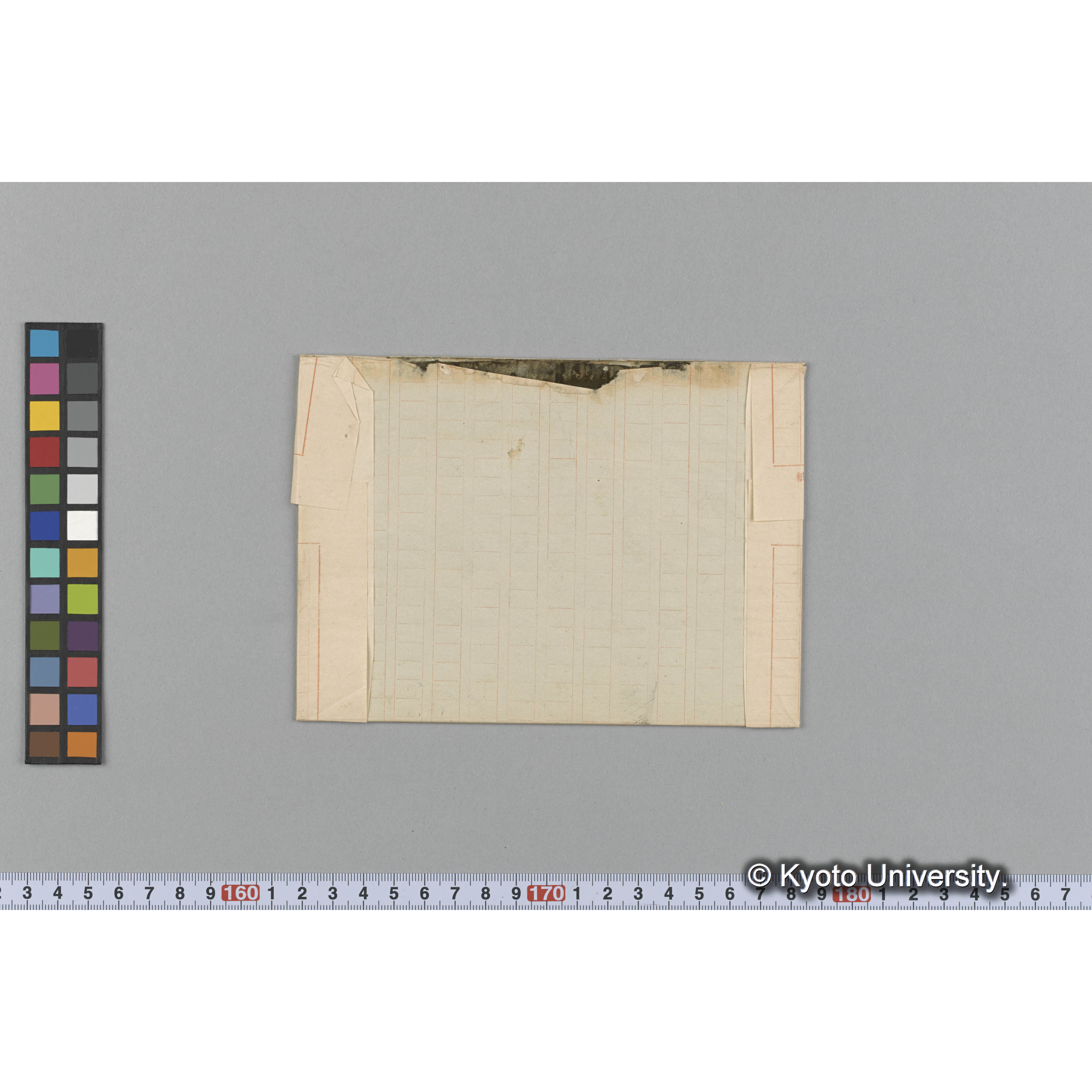 Nitophyllum andersonianum / Herb. J. Ag. 31446 （写真帳番号 92） (2)