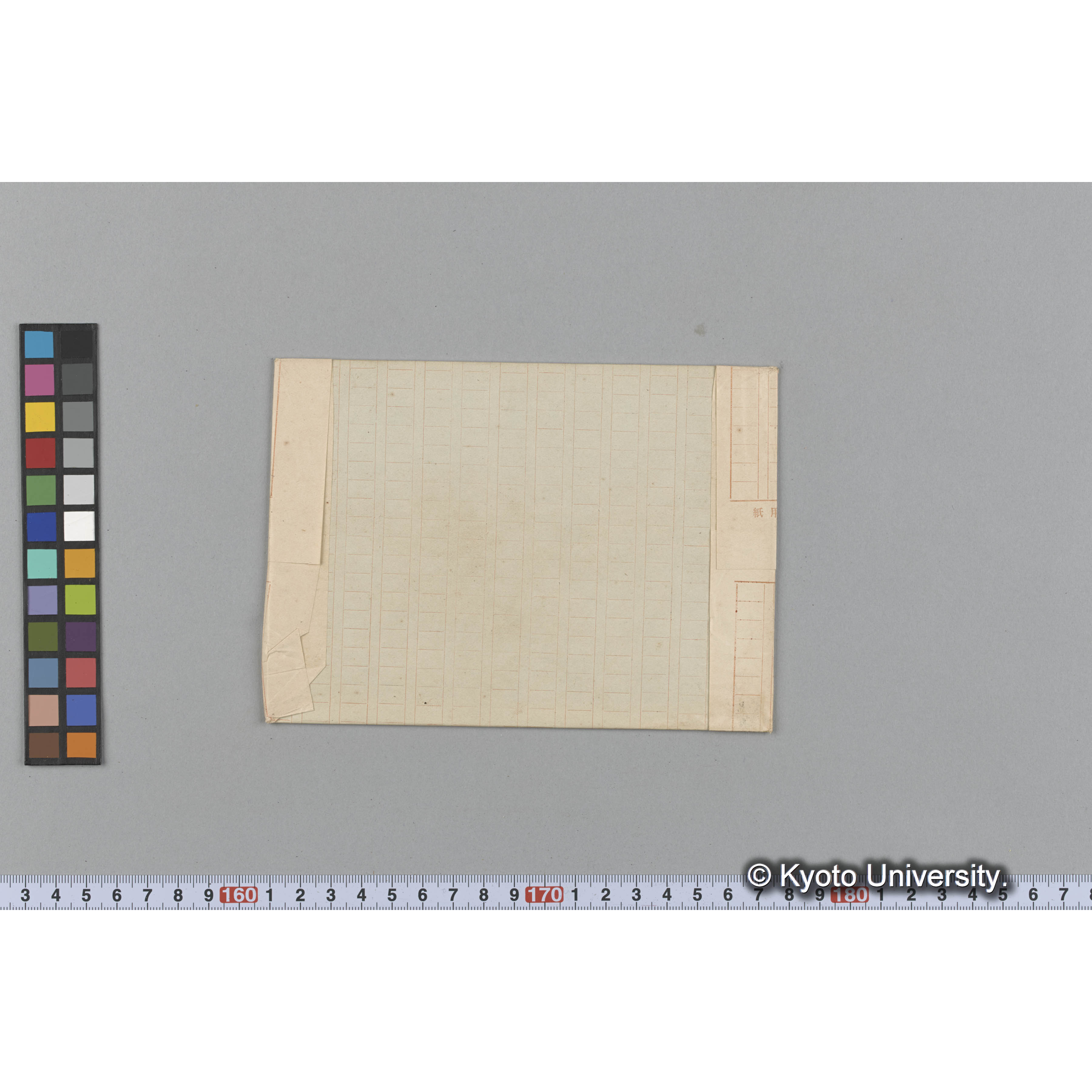 Prionits hyalii Harv. / Herb. J. Ag. 22897 / authentic （写真帳番号 100） (2)