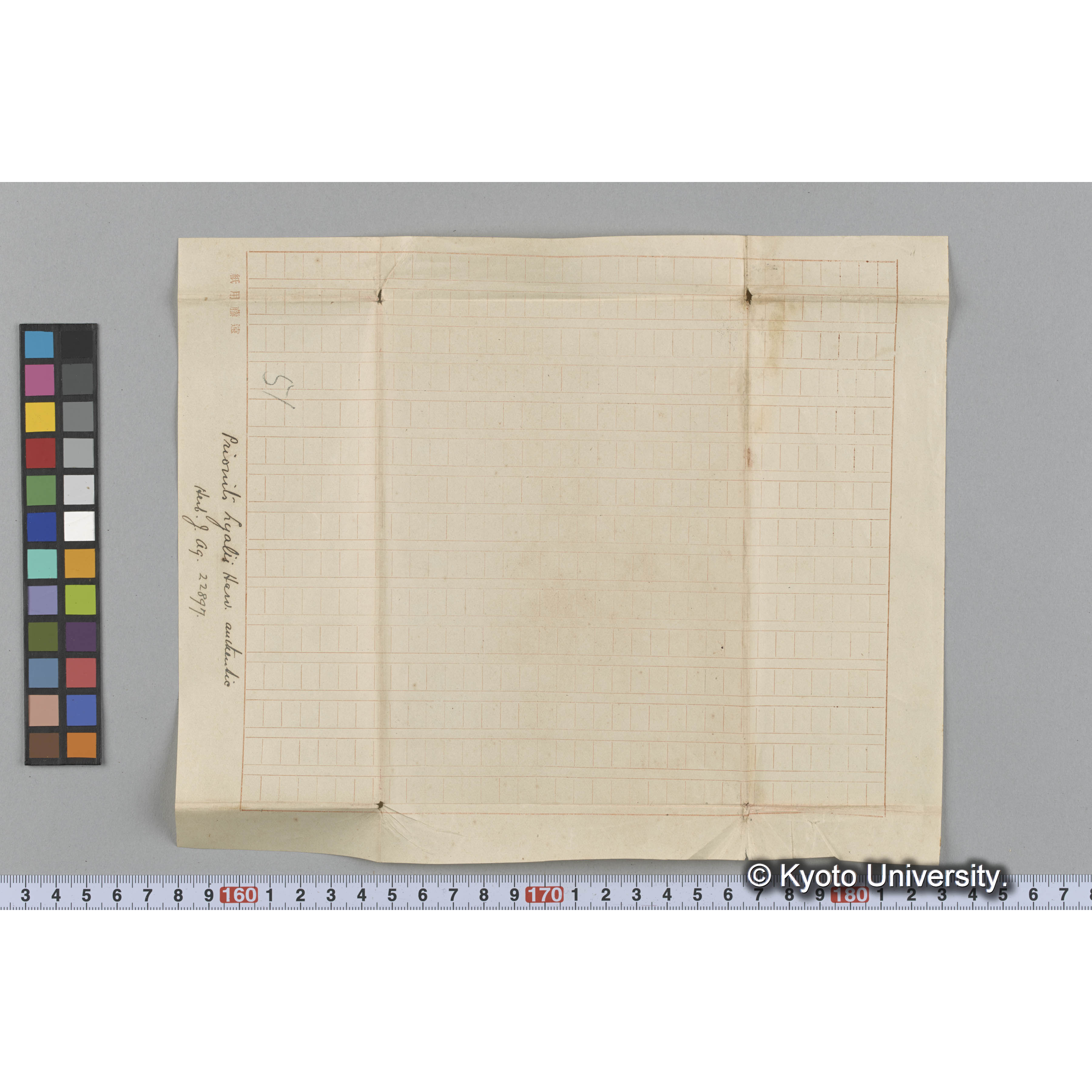 Prionits hyalii Harv. / Herb. J. Ag. 22897 / authentic （写真帳番号 100） (3)