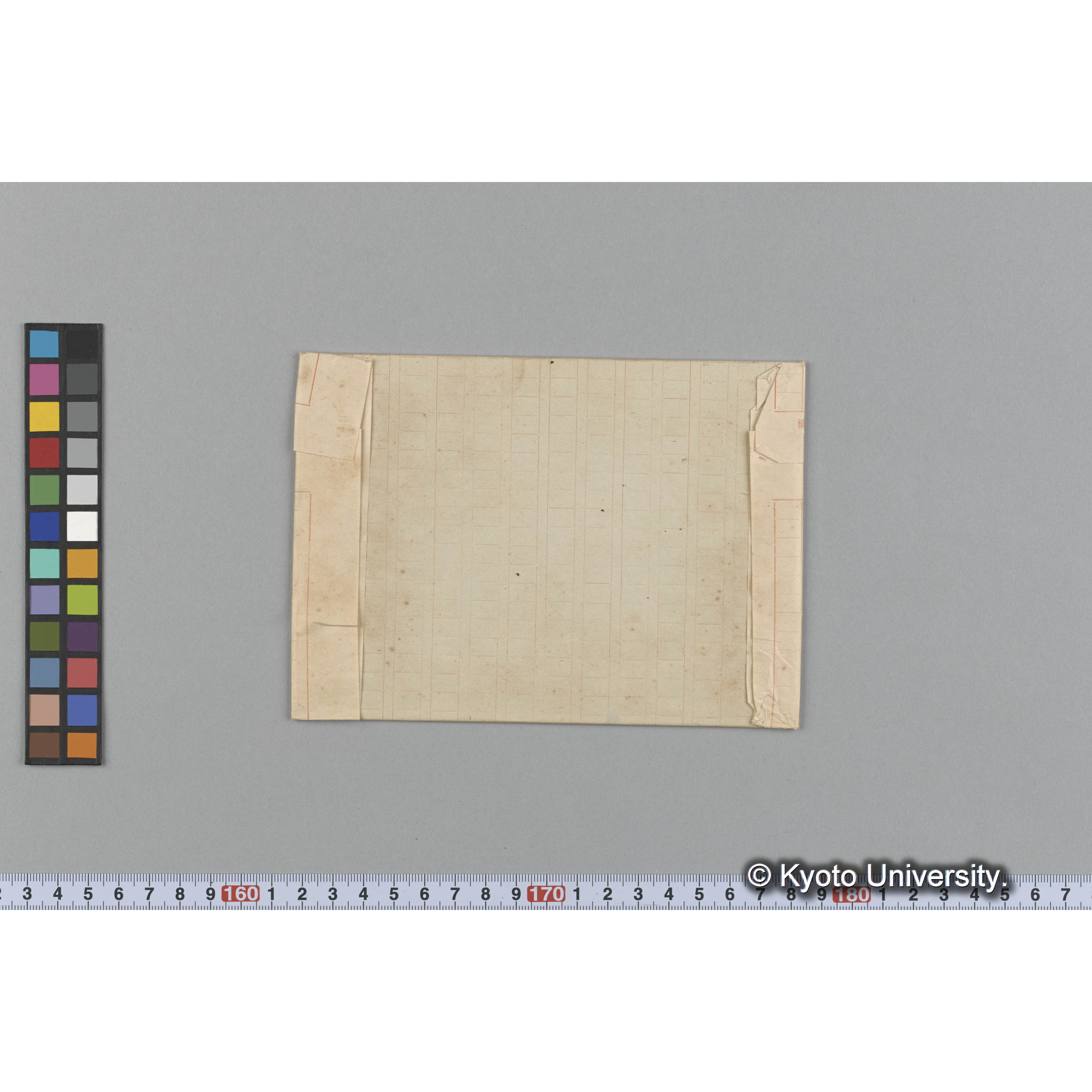 Amphiroa ephedoaea / Herb. Mus Paris / Madagascar （写真帳番号 8） (2)