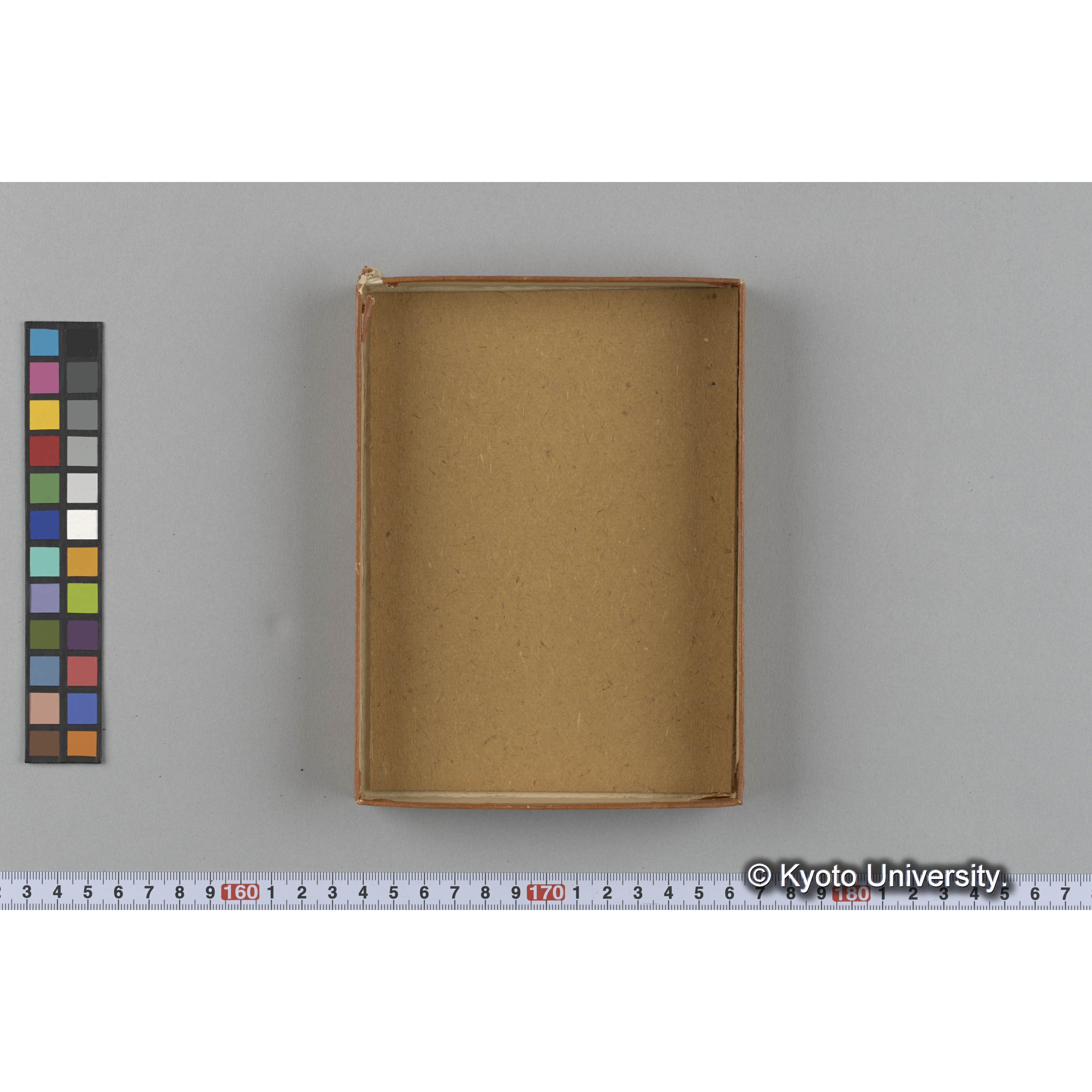 [ガラス乾板収納箱2.]algae 原板6 (4)