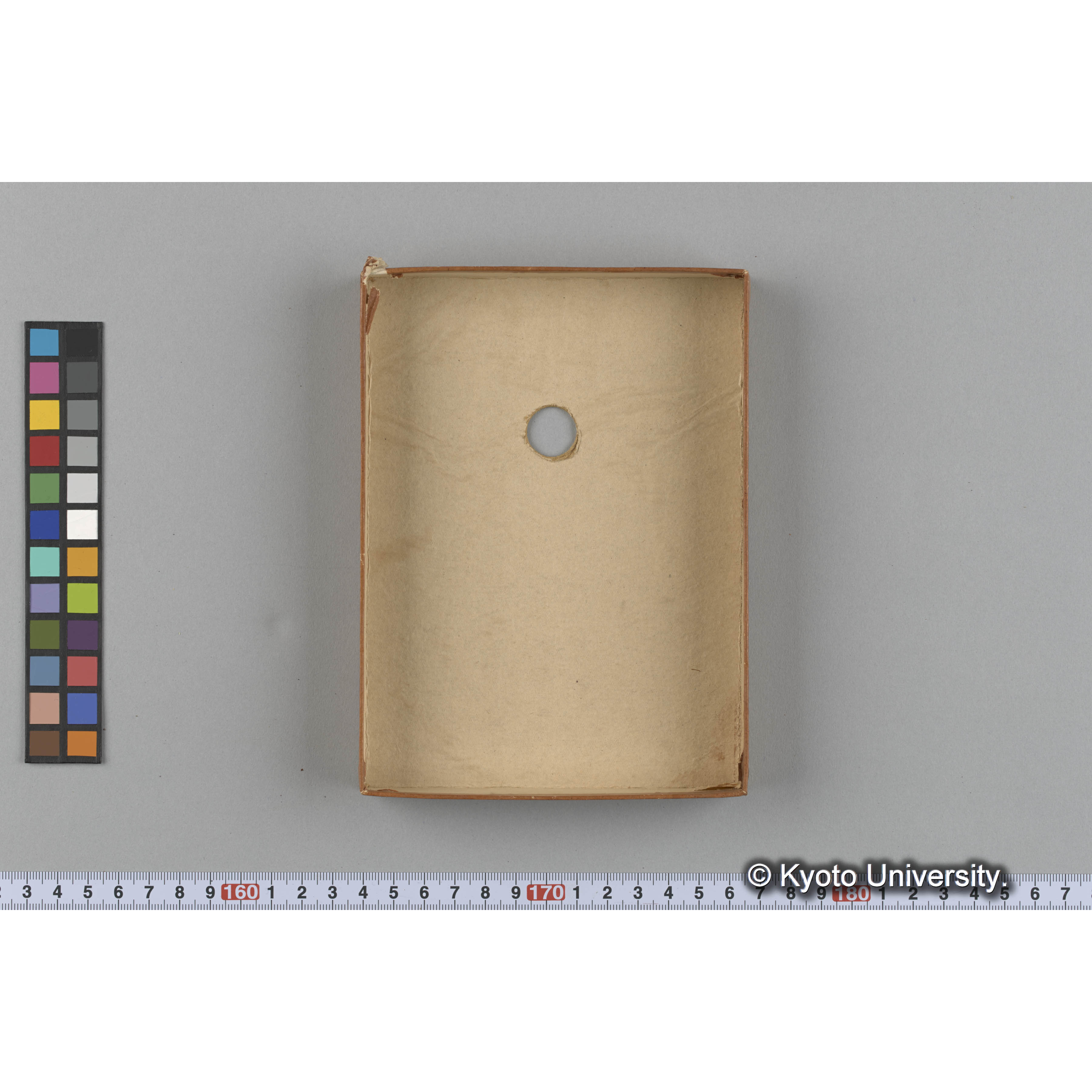 [ガラス乾板収納箱2.]algae 原板6 (5)