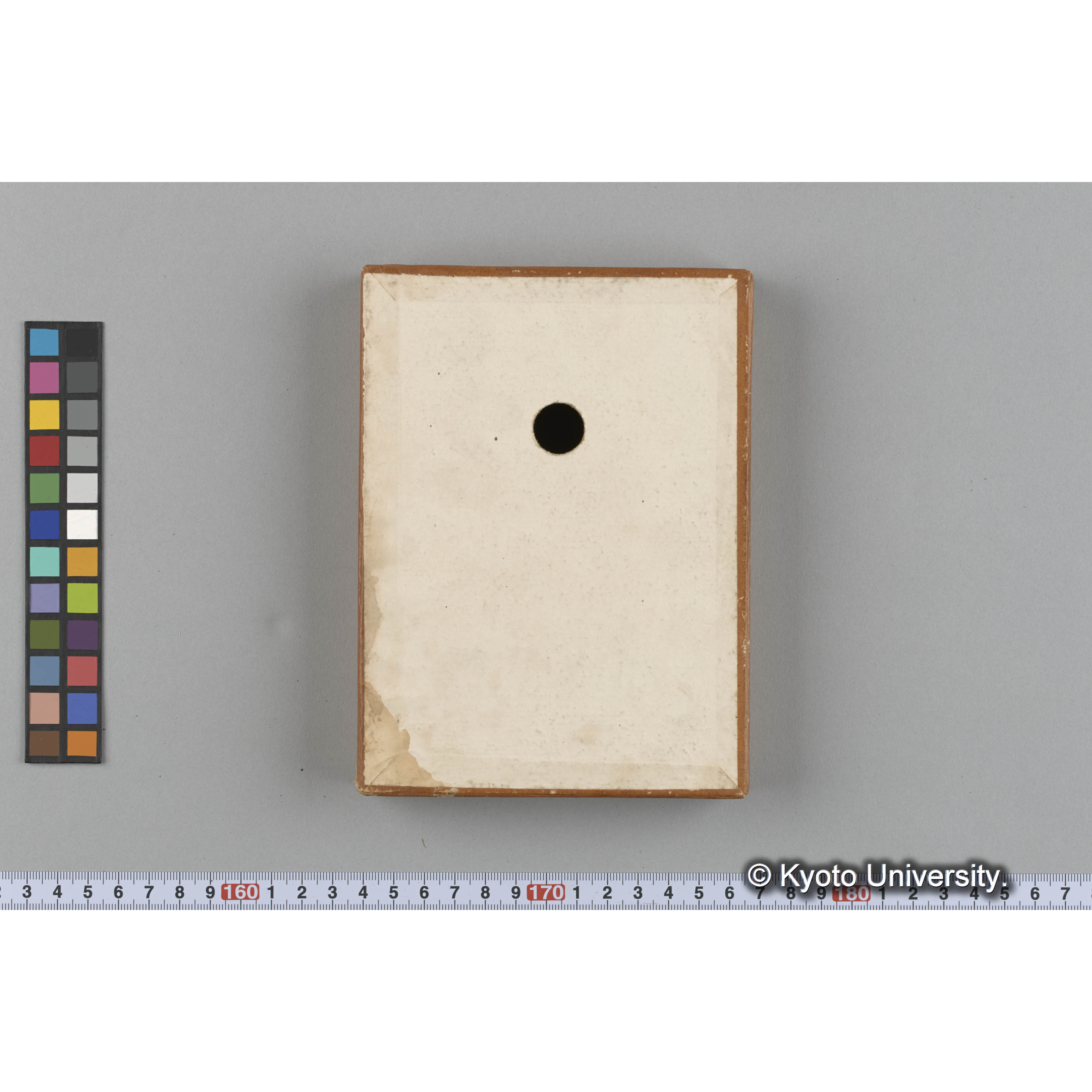 [ガラス乾板収納箱2.]algae 原板6 (6)