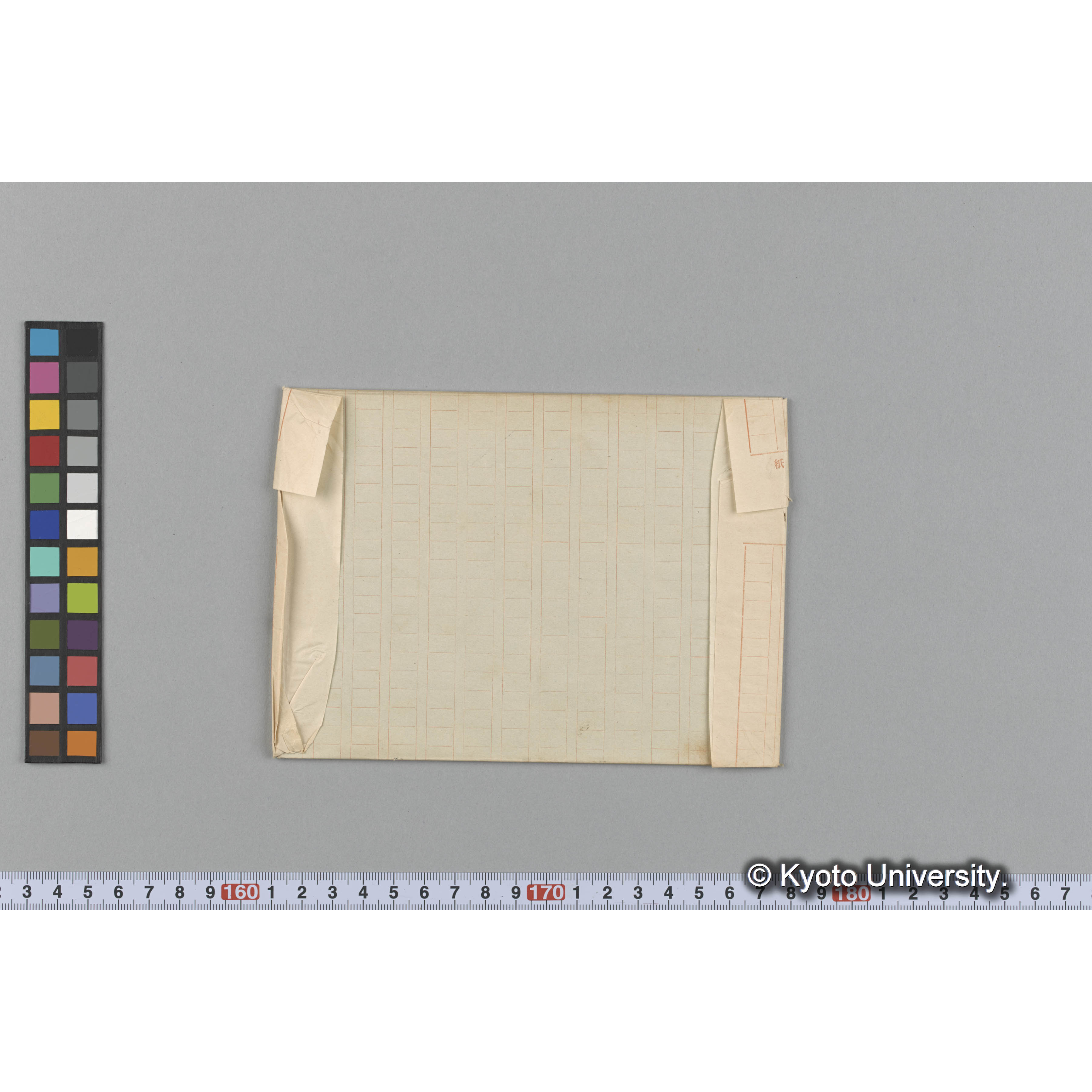 Caulerpa amicorum / Loochoo / Trinity College （写真帳番号 21） (2)