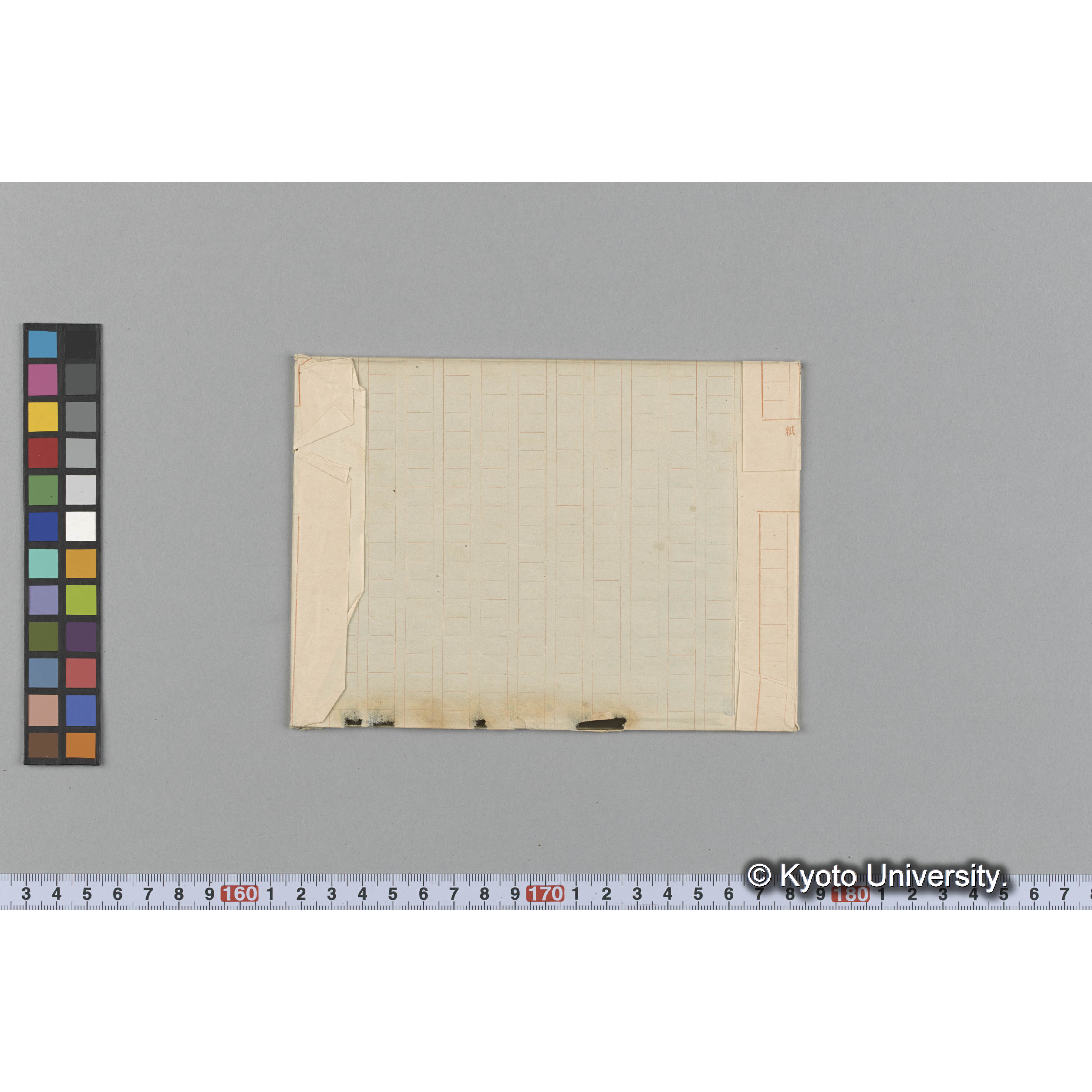 Halymenia latissima / Trinity College / 外　1672 （写真帳番号 71） (2)