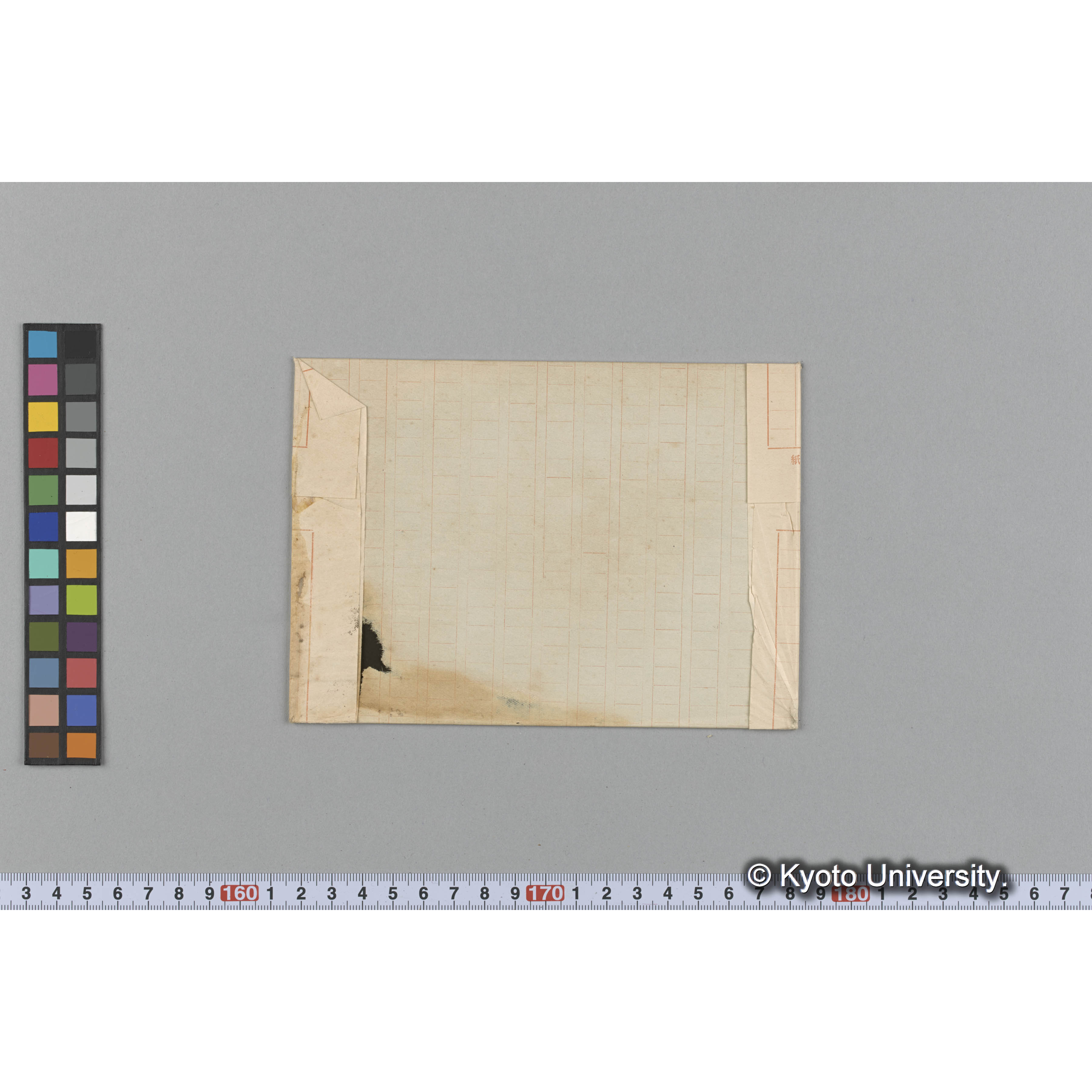 Hypnea pannosa / Herb. J. Ag. / Harv. Friendly 44 （写真帳番号 72） (2)