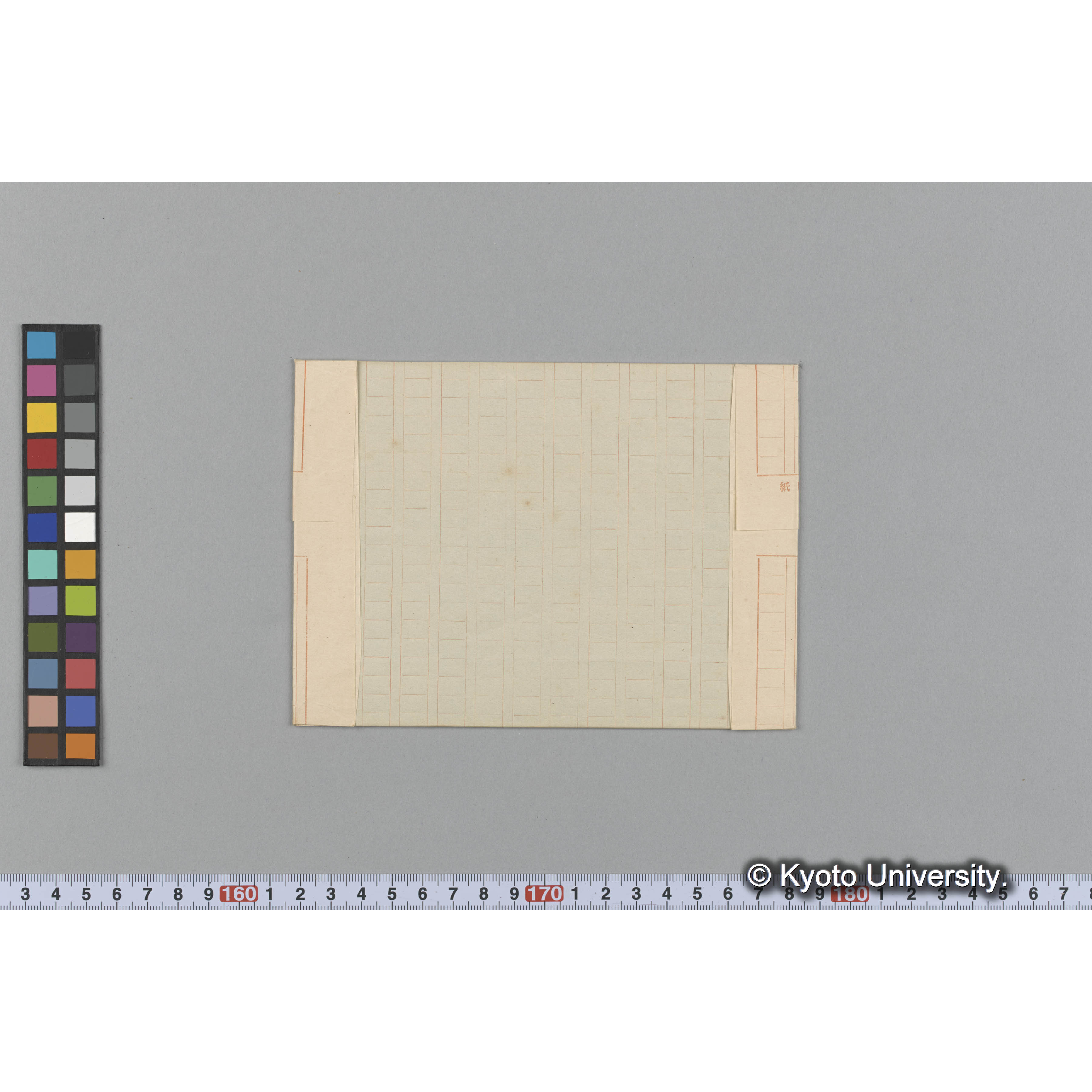 Eucheuma spinosa (Lim) / Herb. J. Ag. 34664 （写真帳番号 44） (2)