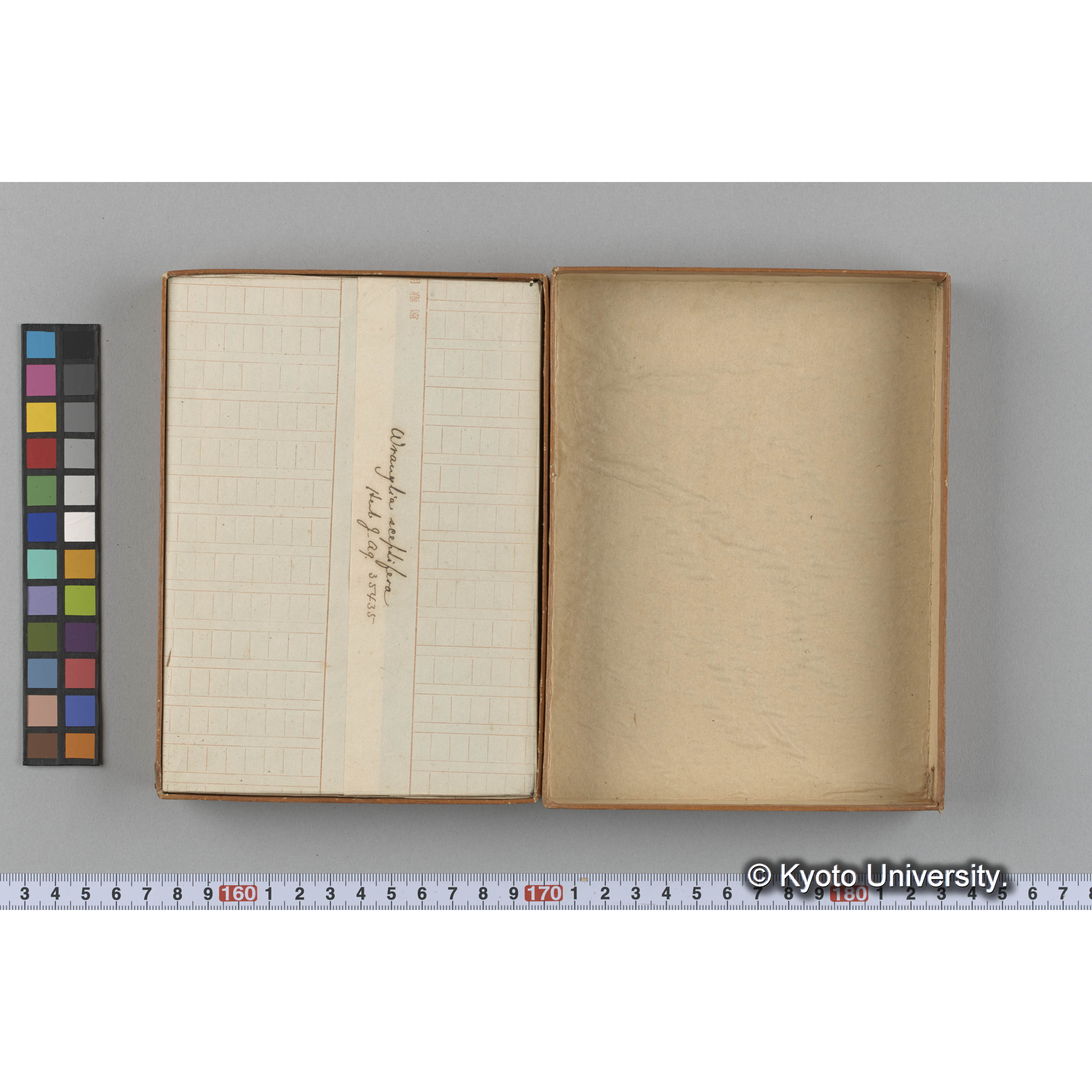 [ガラス乾板収納箱6.]algae, 原板12 (2)