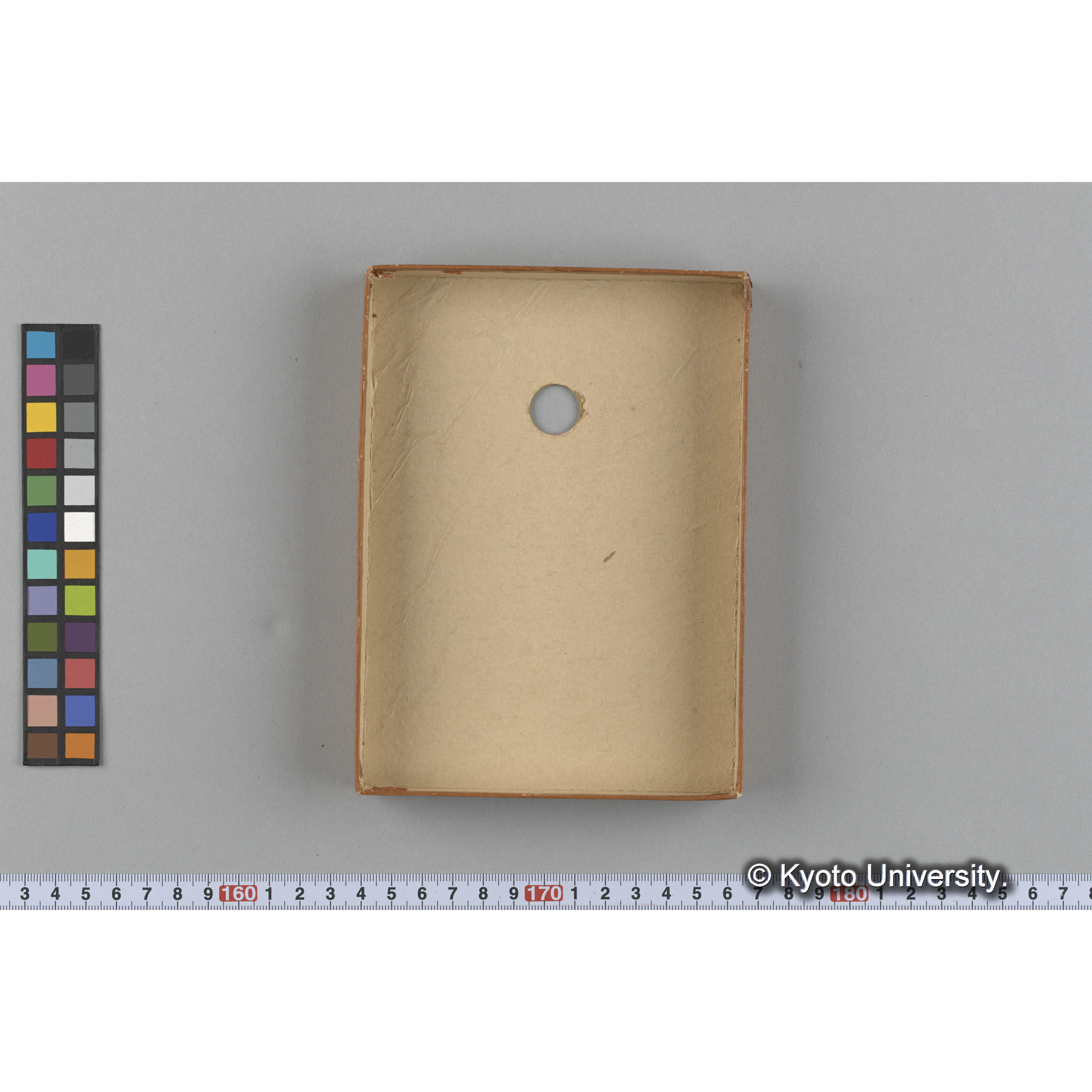 [ガラス乾板収納箱6.]algae, 原板12 (4)