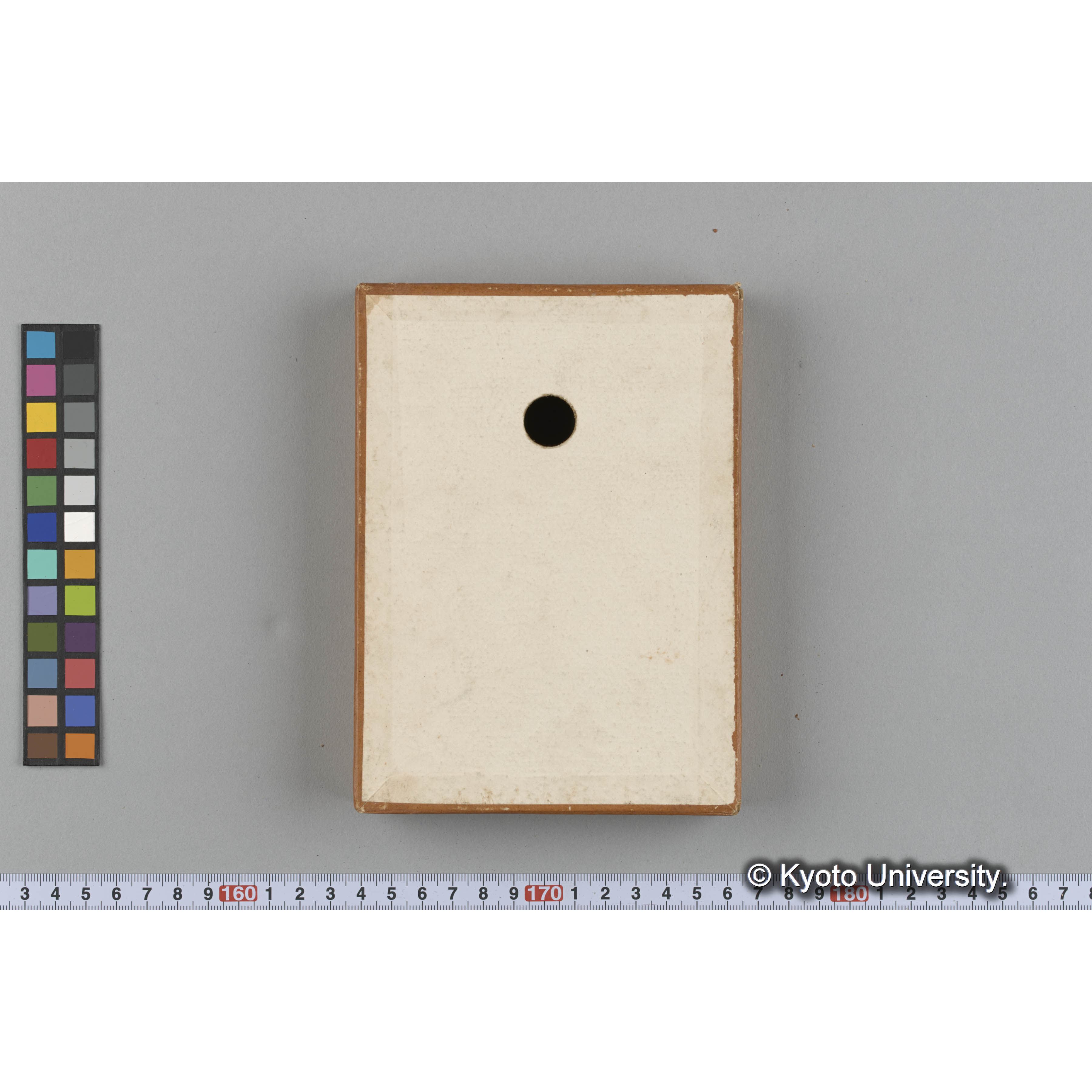 [ガラス乾板収納箱6.]algae, 原板12 (5)