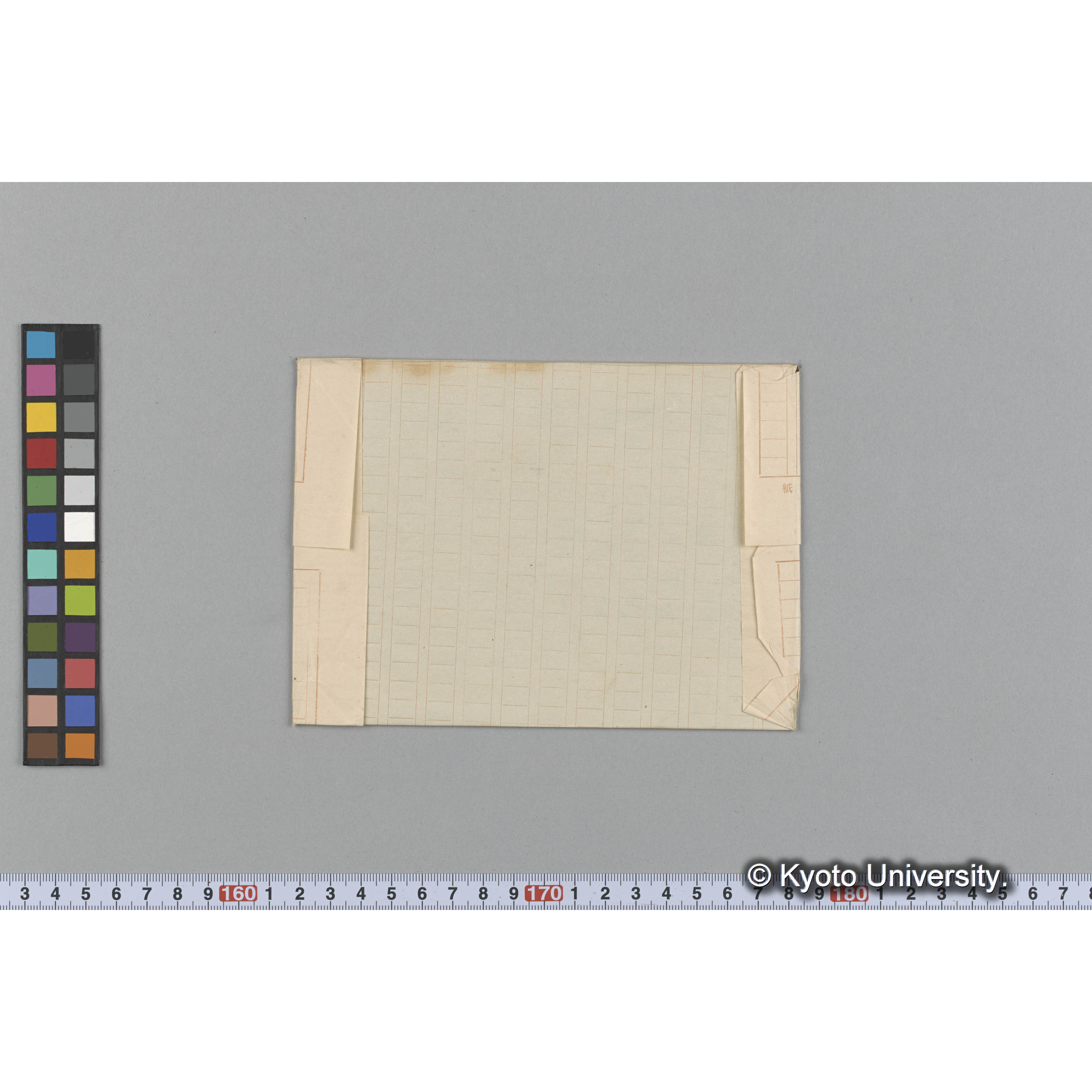 Wrangelia sceptifera Herb. J. Ag. 35435 （写真帳番号 114） (2)