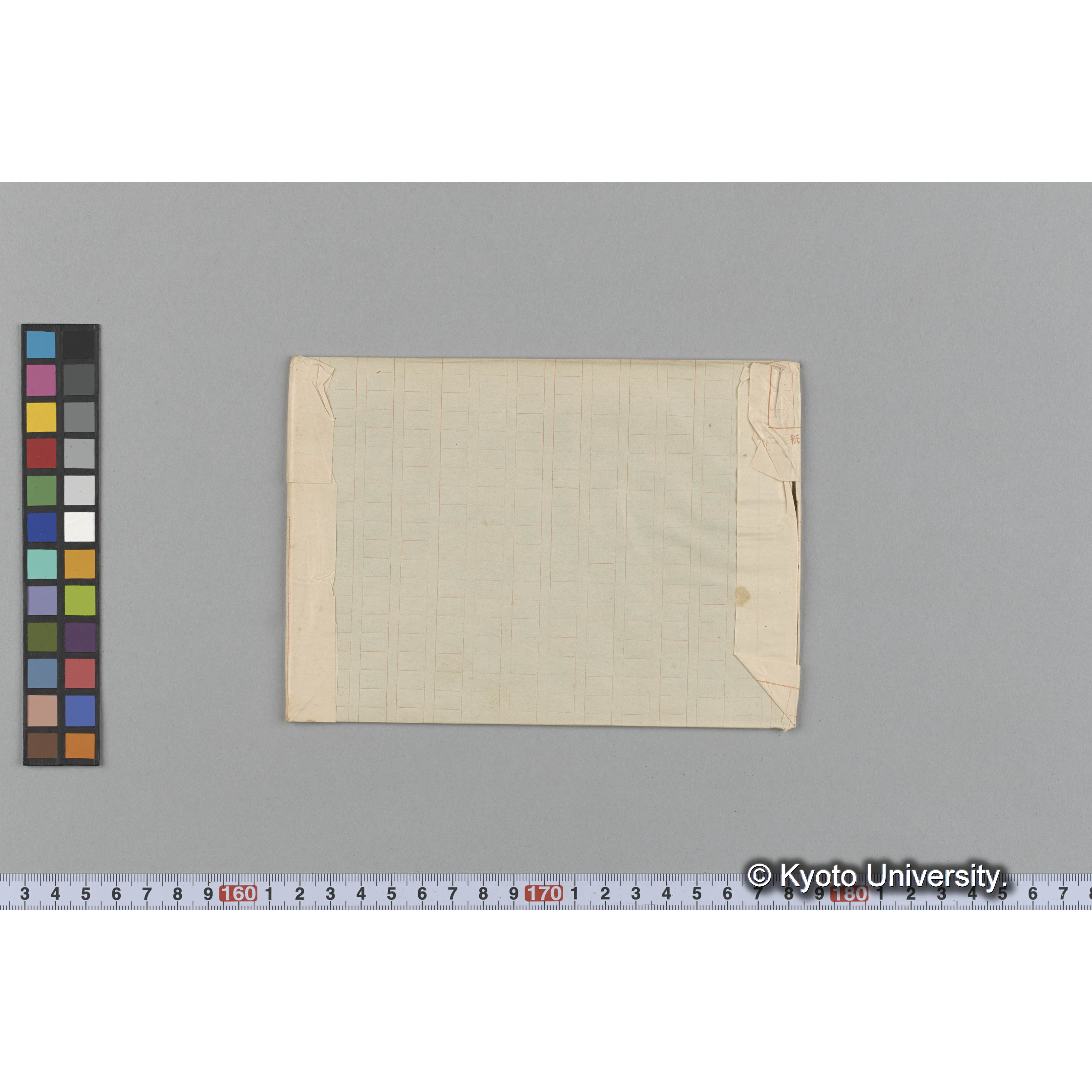 Solieria chordalis Ag. / Herb. J. Ag. （写真帳番号 107） (2)