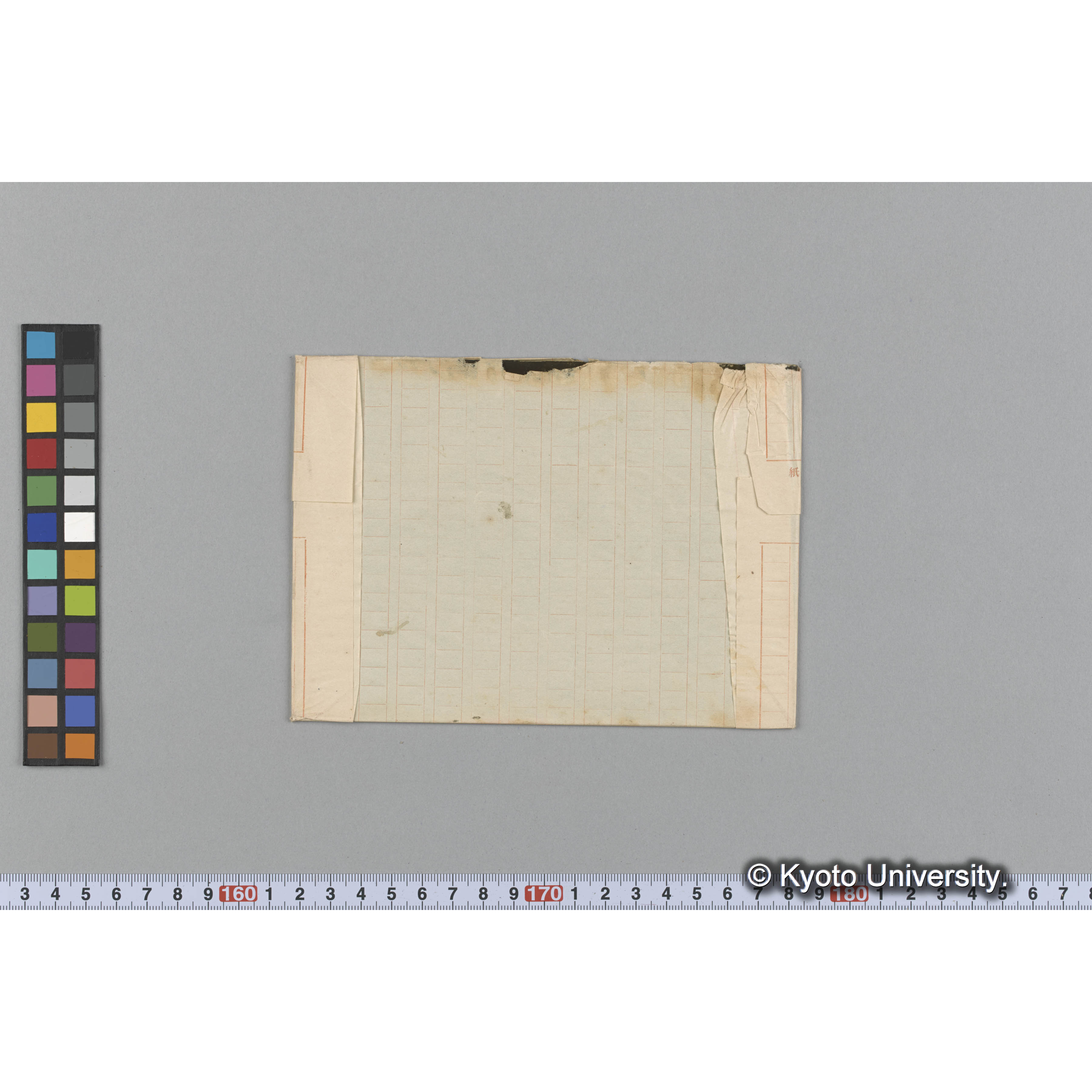 Meristotheca papulora / Herb. J. Ag. 34177. / Japan. （写真帳番号 87） (2)