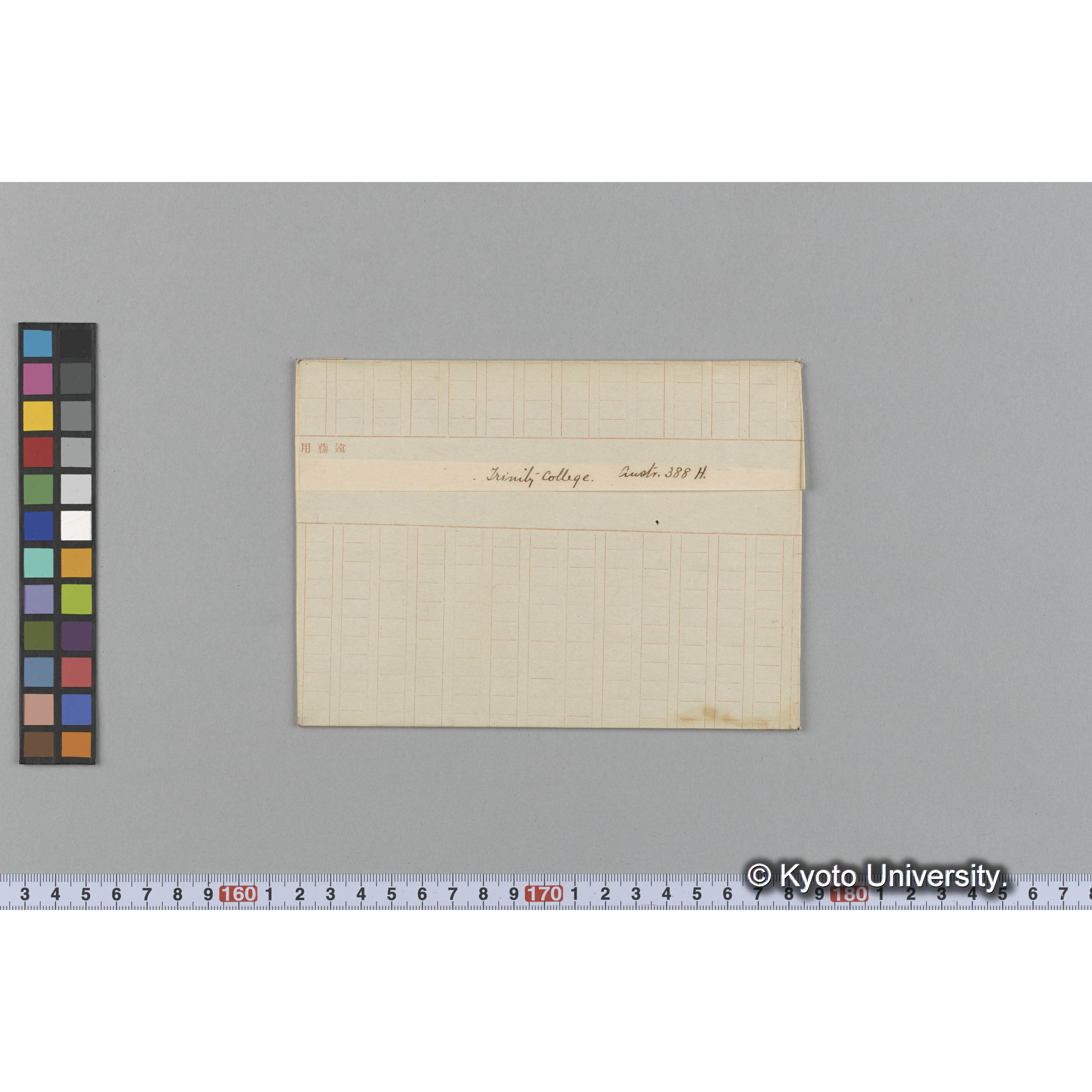 〔種名不記載〕 / Trinity College / Austr. 388H. （写真帳番号 111） (1)