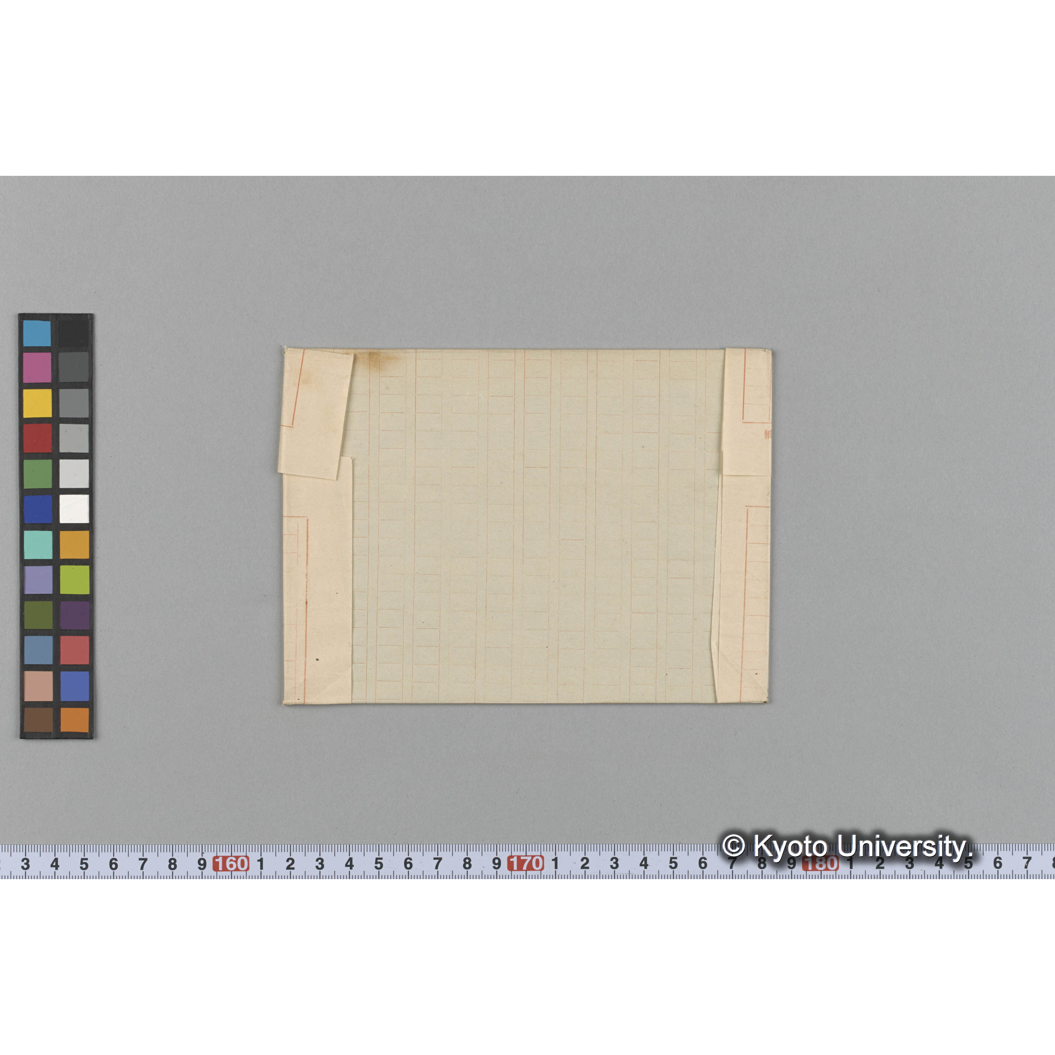 〔種名不記載〕 / Trinity College / Austr. 388H. （写真帳番号 111） (2)