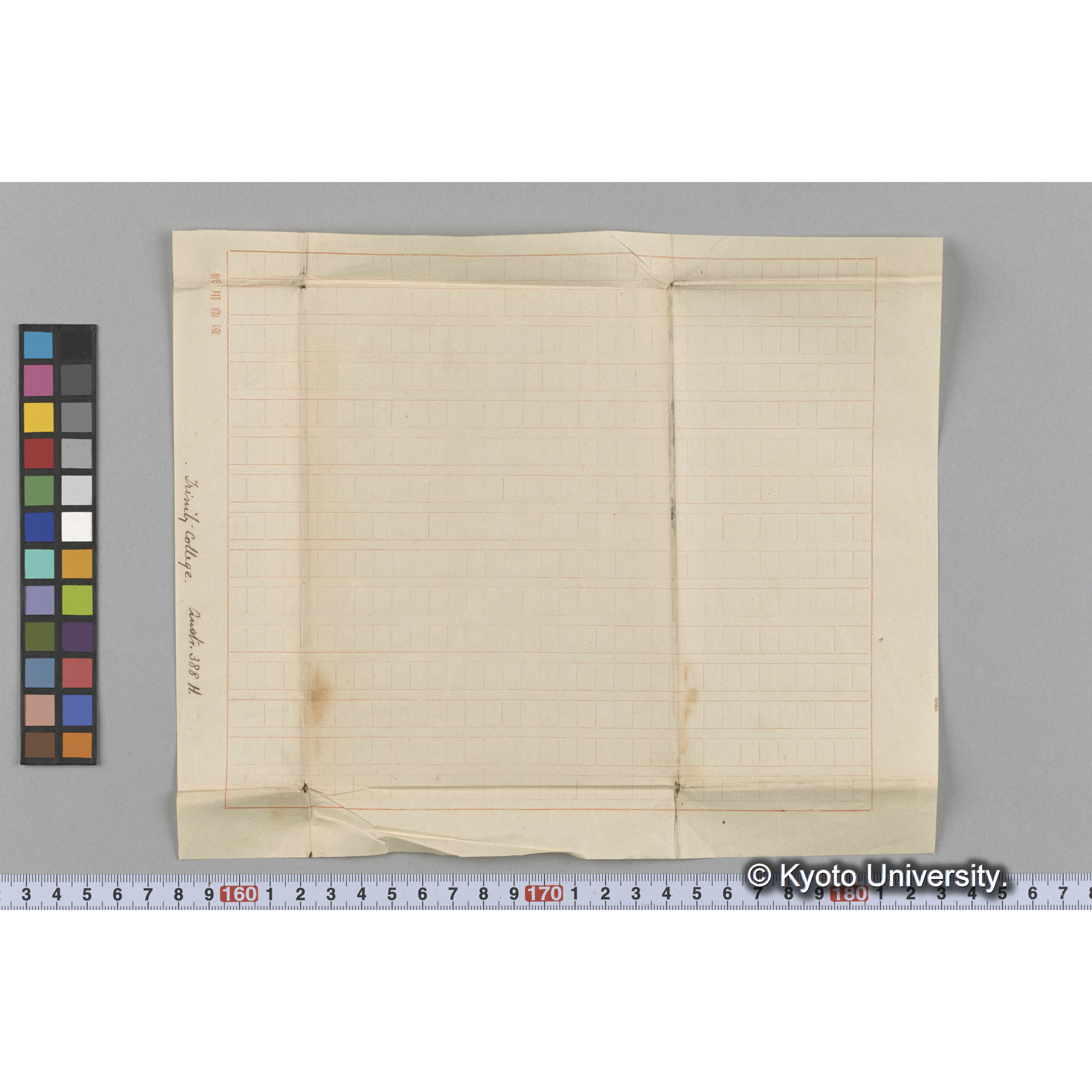 〔種名不記載〕 / Trinity College / Austr. 388H. （写真帳番号 111） (3)