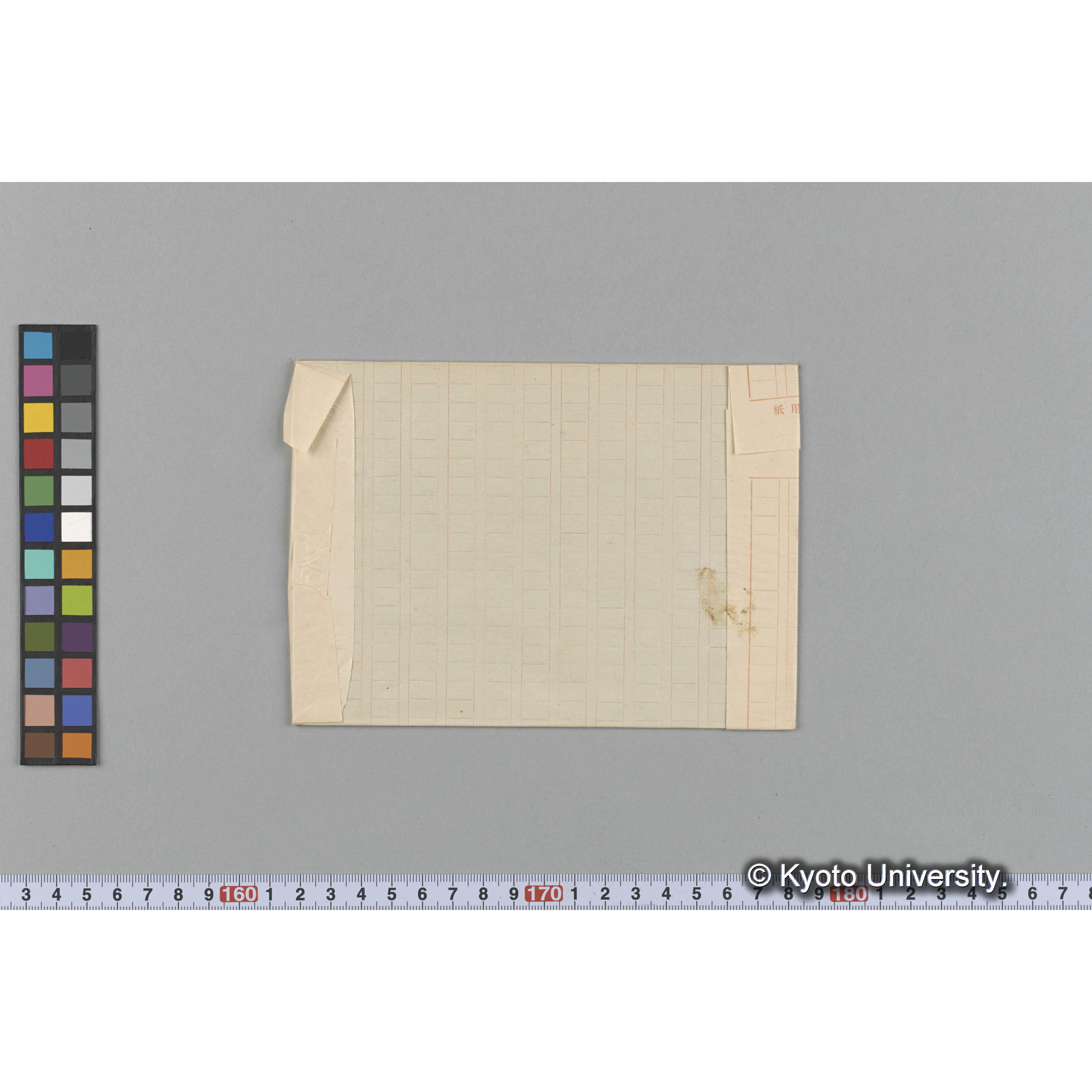 Corallina ephedraea Lamk / Herb. Mus / Paris / Original （写真帳番号 36） (2)