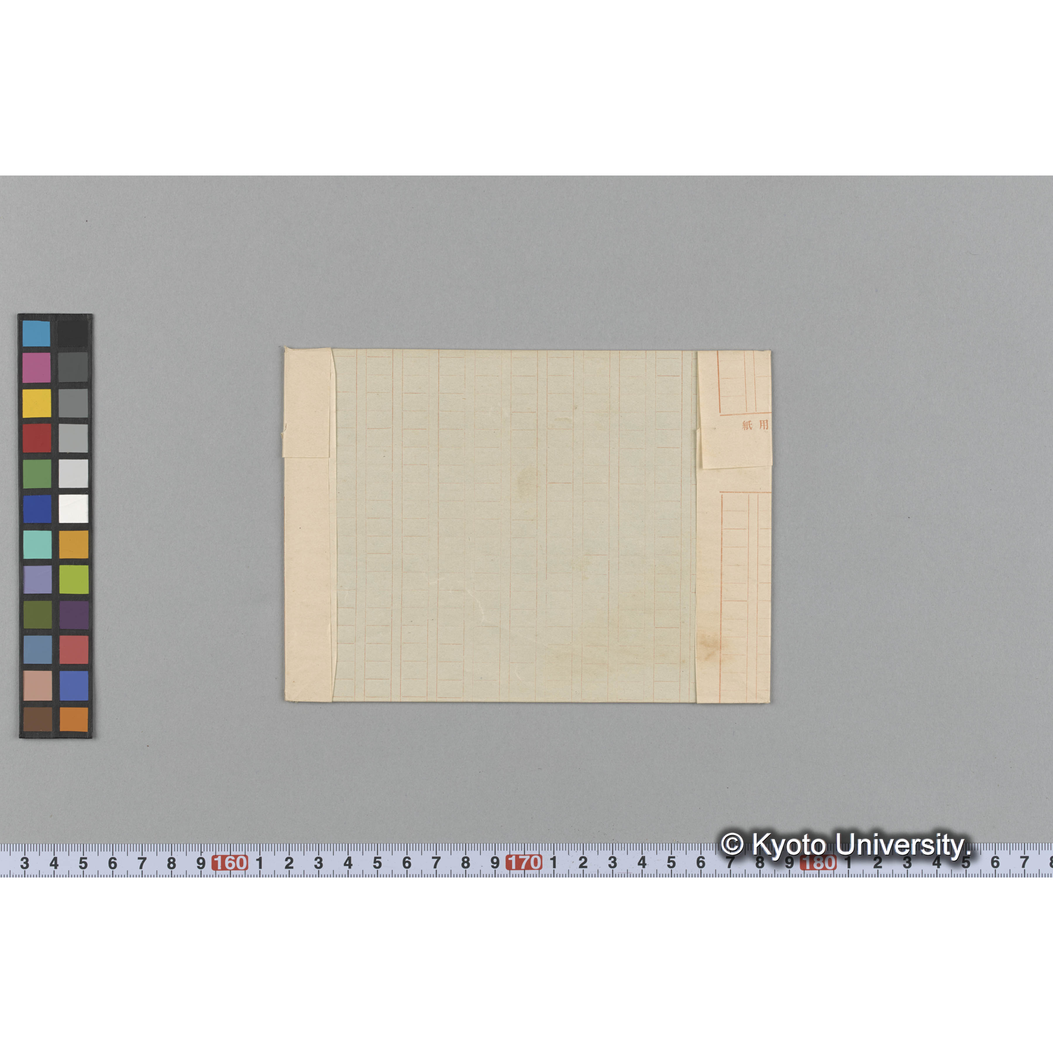 Corallopsis salicornia Ag. / Herb. J. Agardh. （写真帳番号 37） (2)