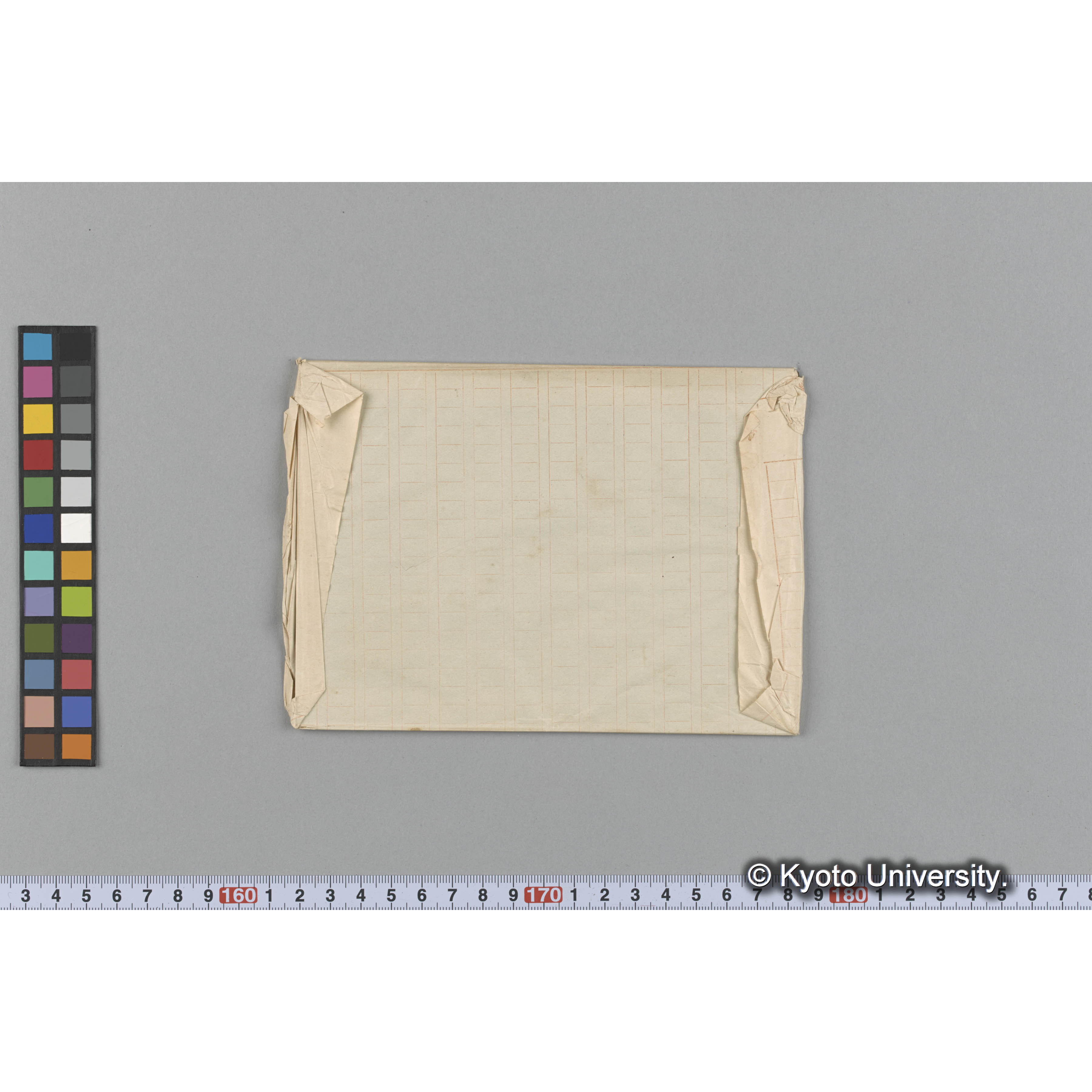 Blastophye Wilsoni Herb. J. Ag. （写真帳番号 13） (2)