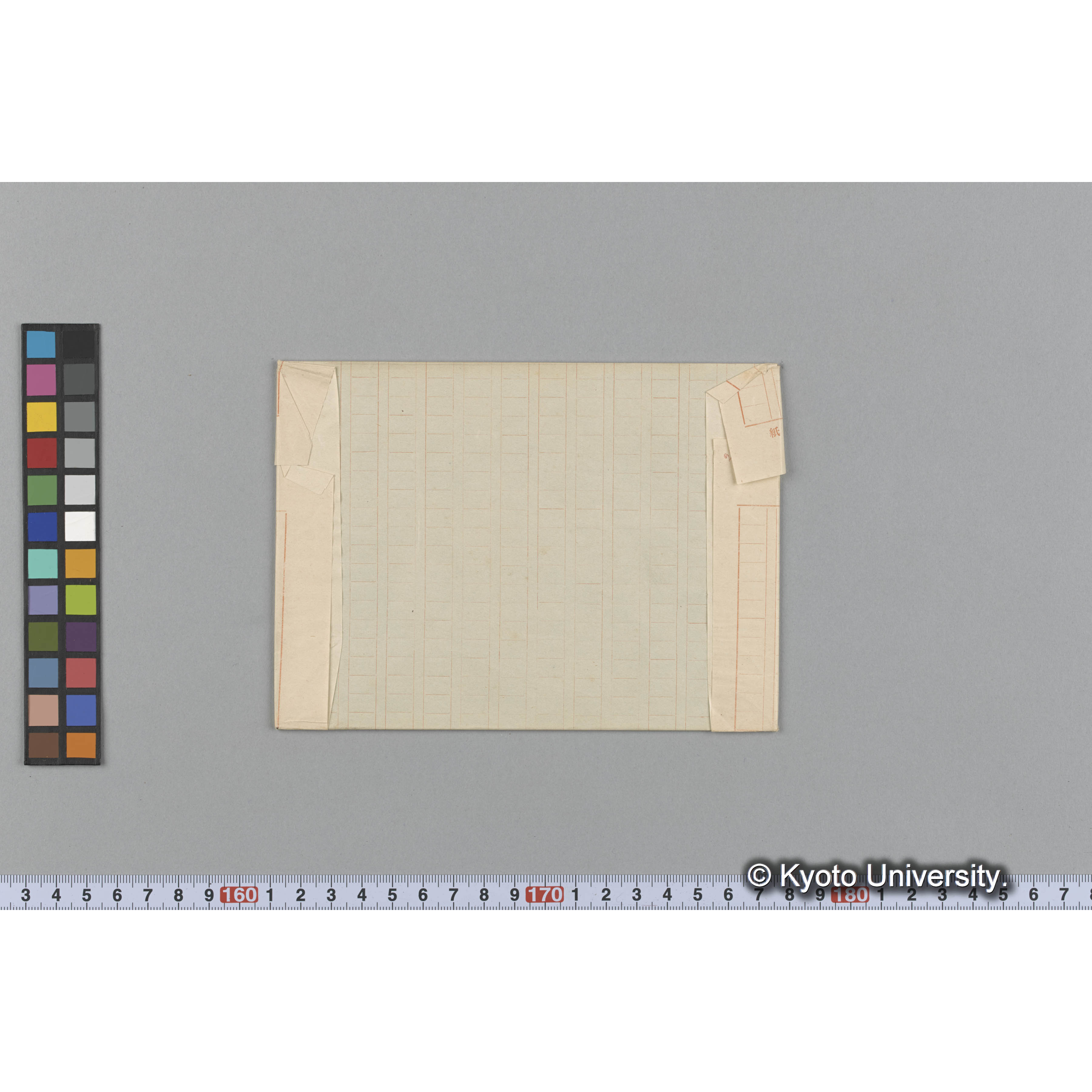 Callophyllis asperata Harv. / Trinity College （写真帳番号 15） (2)